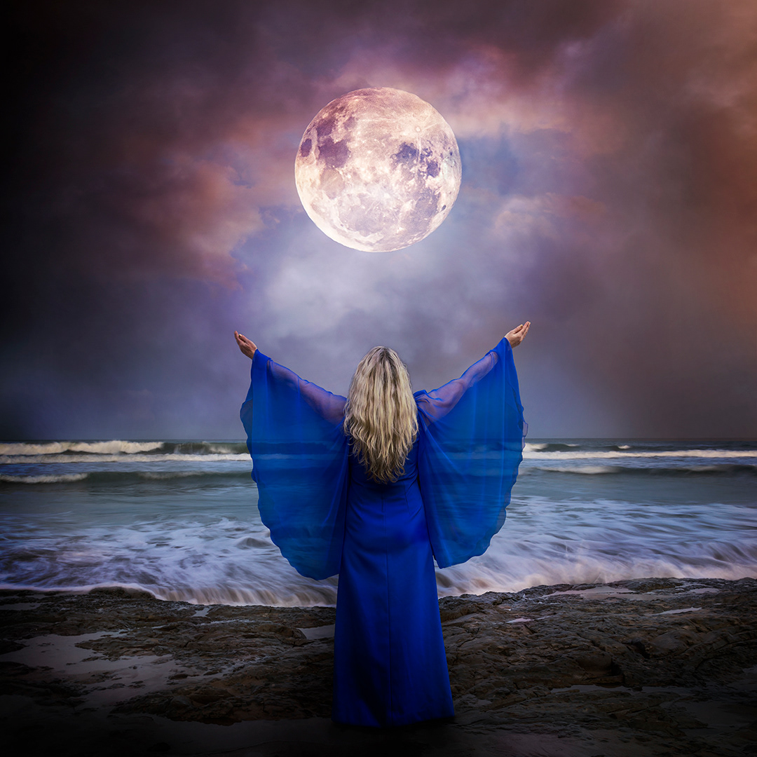 Reach for the Moon