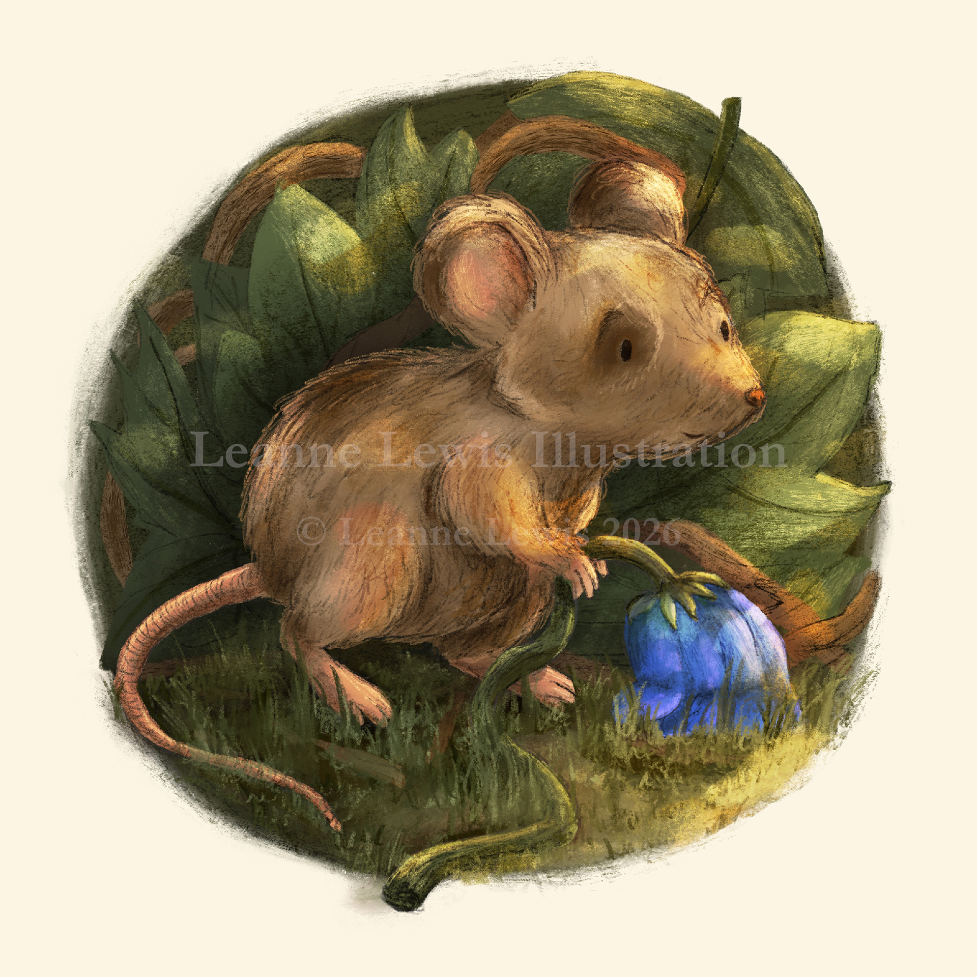 © Leanne Lewis. All Rights Reserved.