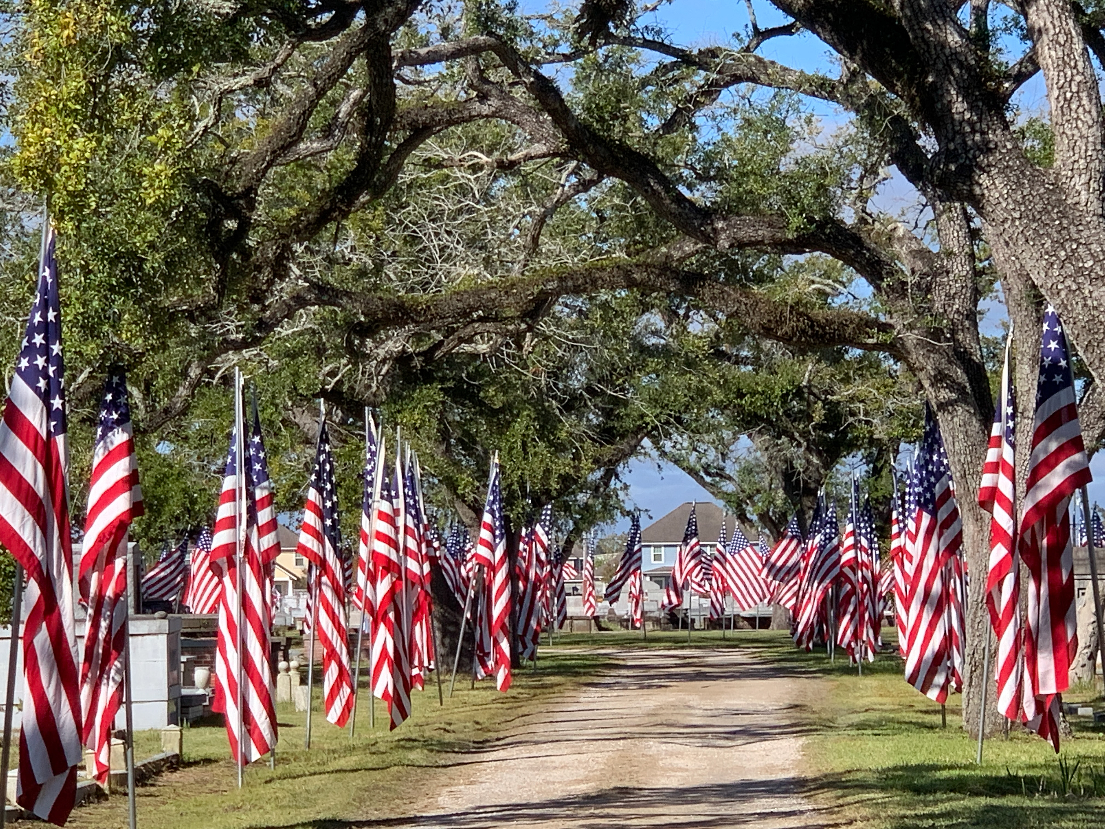 Kelly Swords - Avenue of Flags