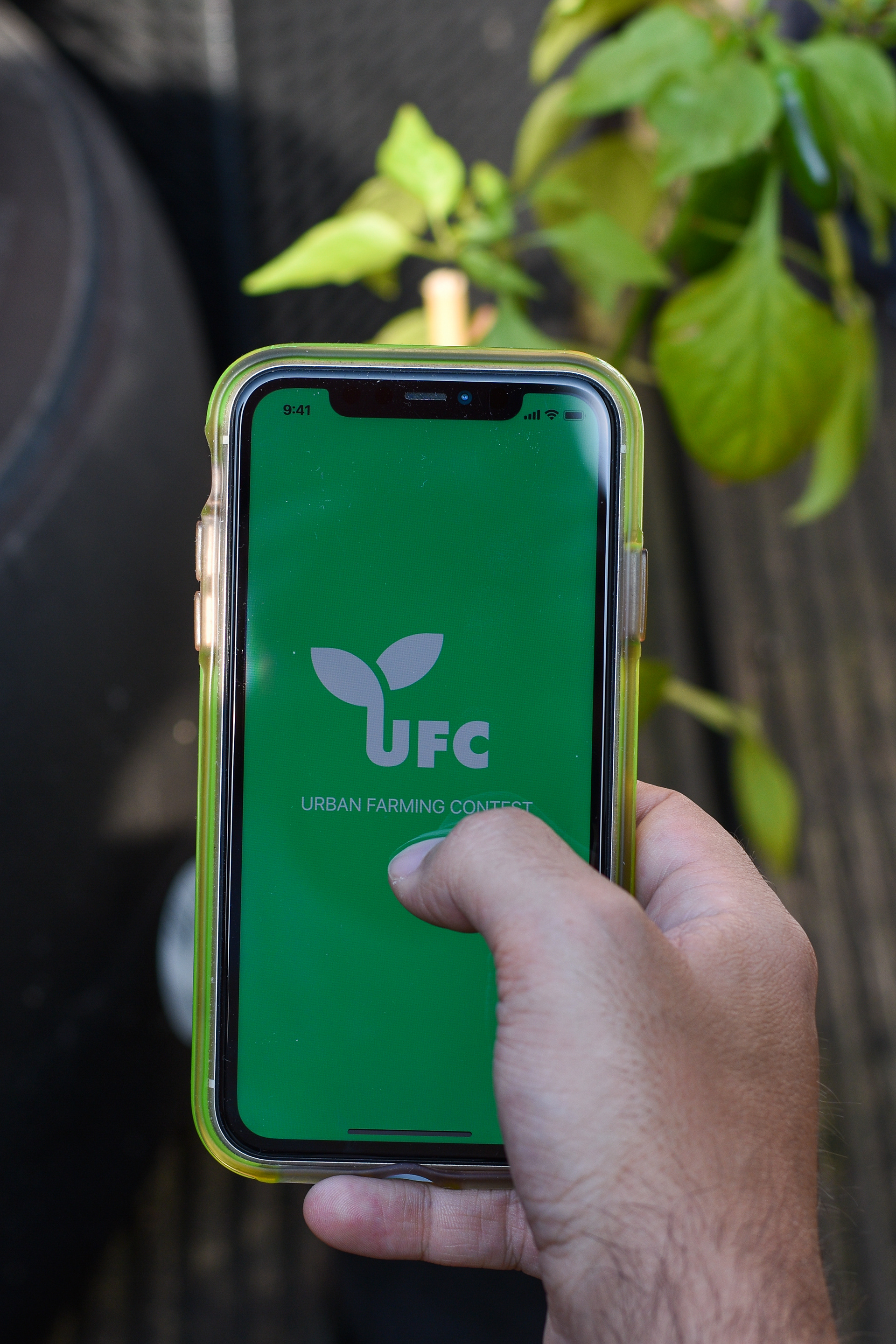 UFC App Prototyp