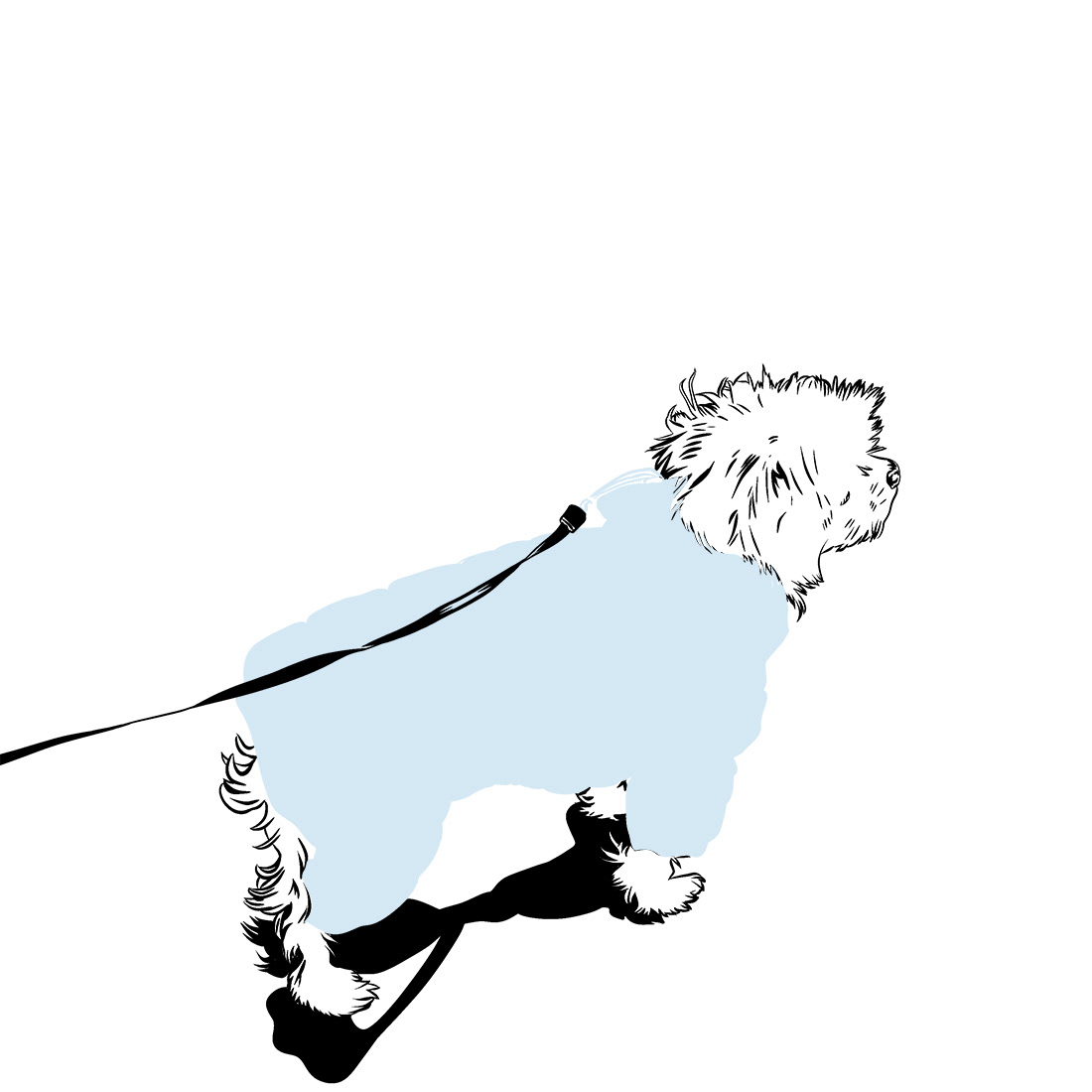 20250111