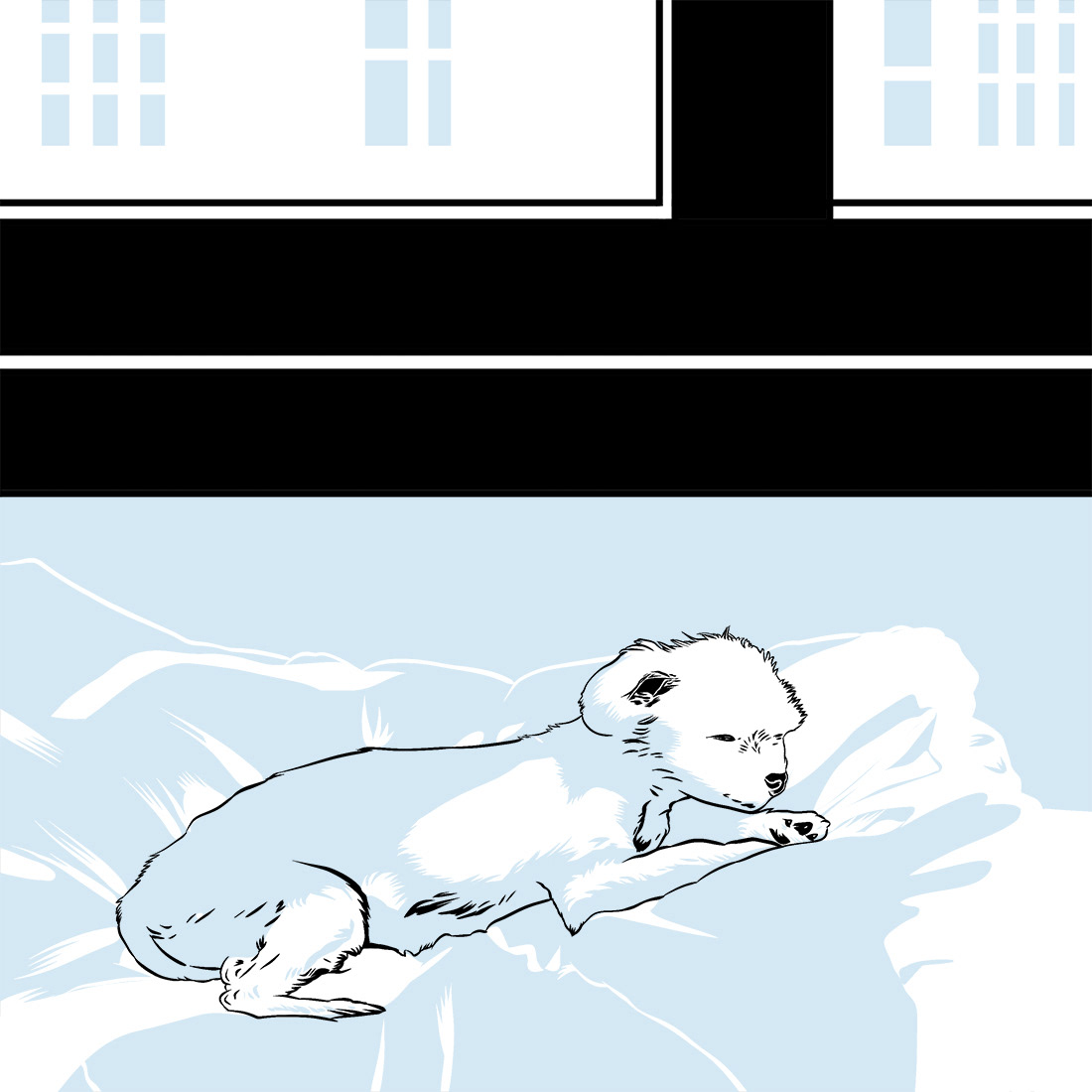 20250120