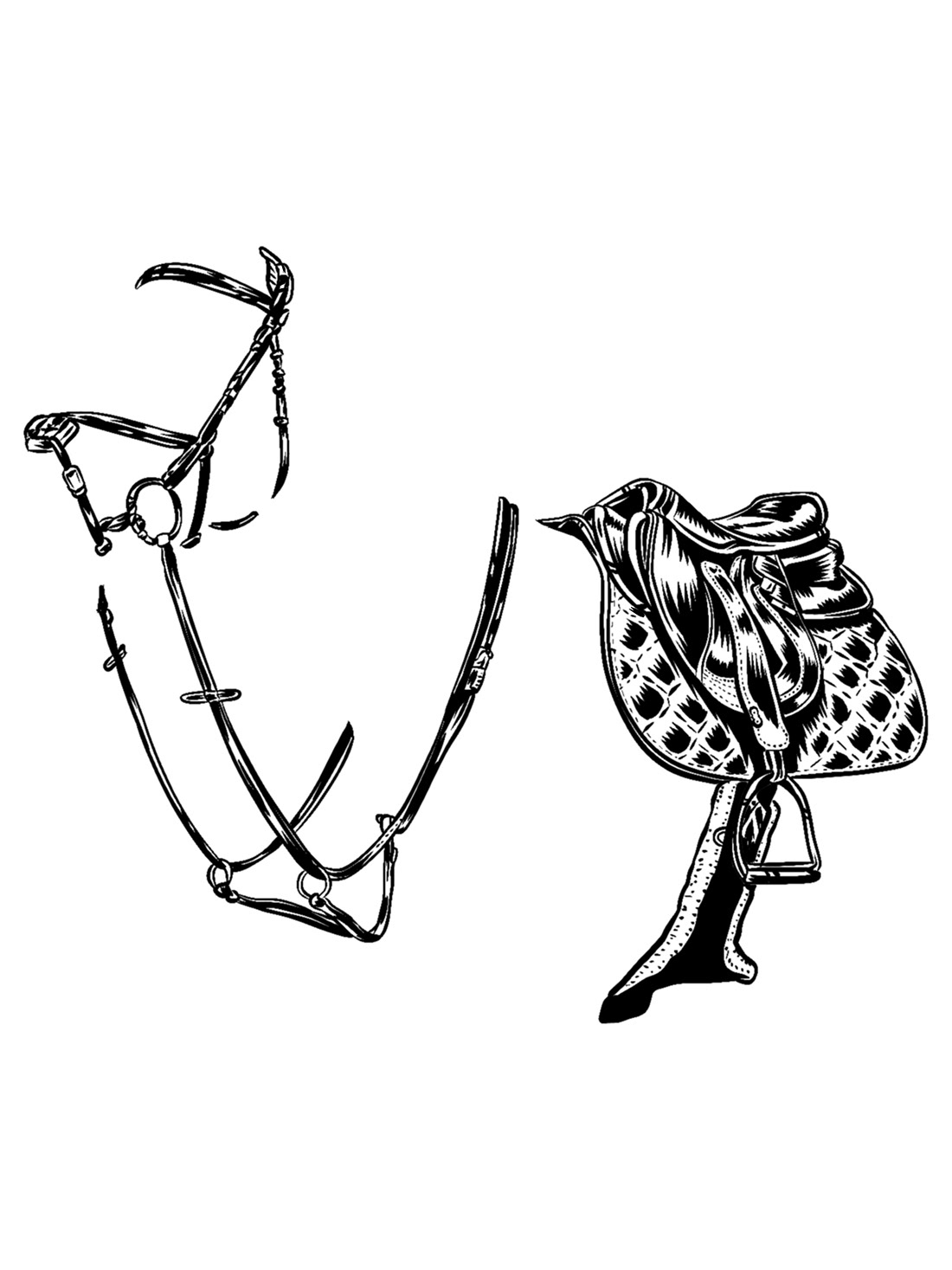 18. Saddle