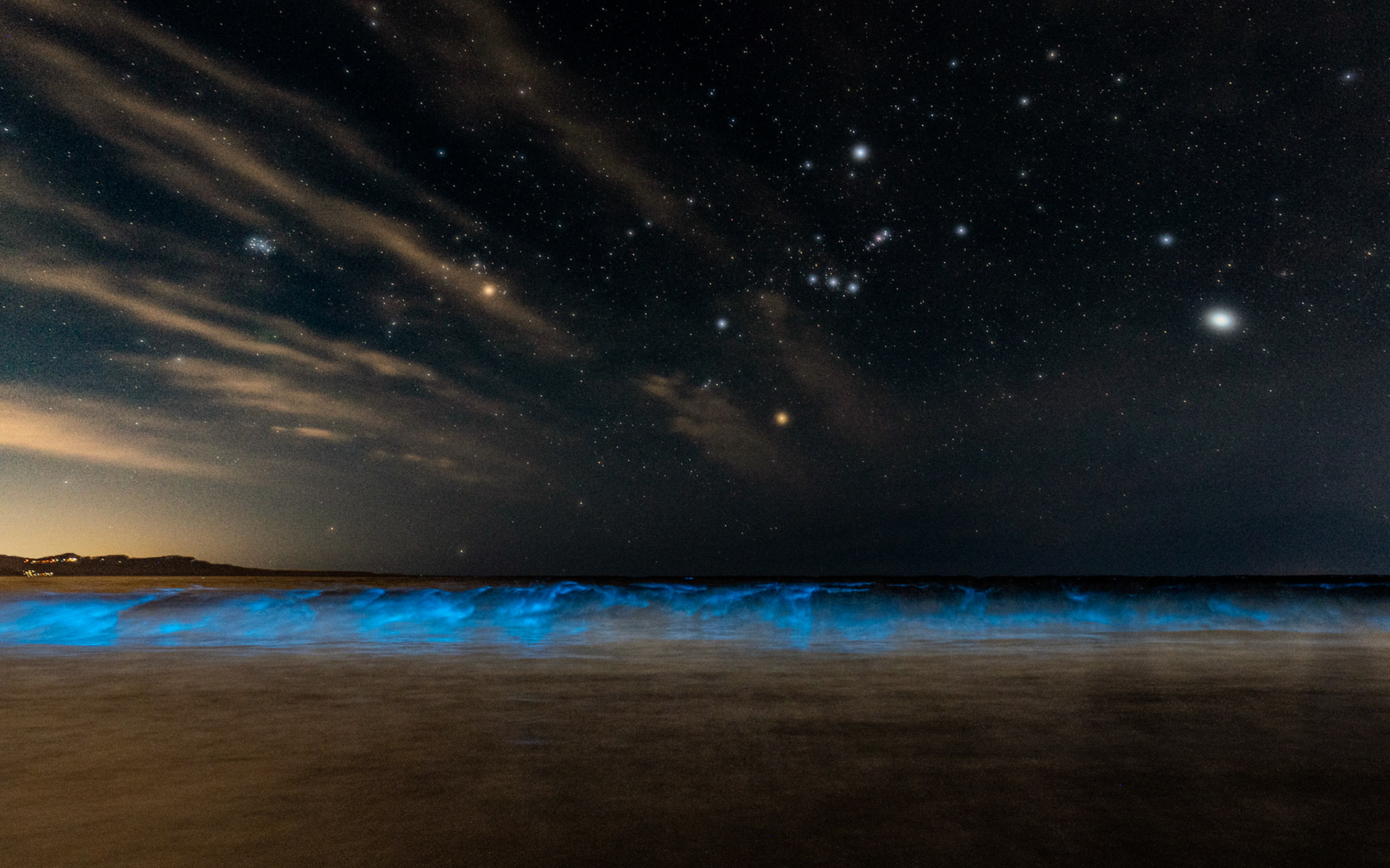 Bioluminescence
