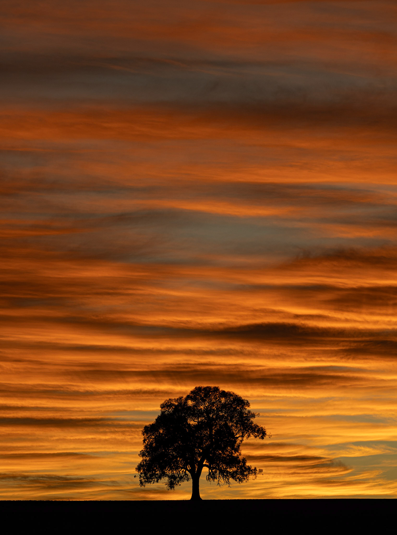 Fire in the sky