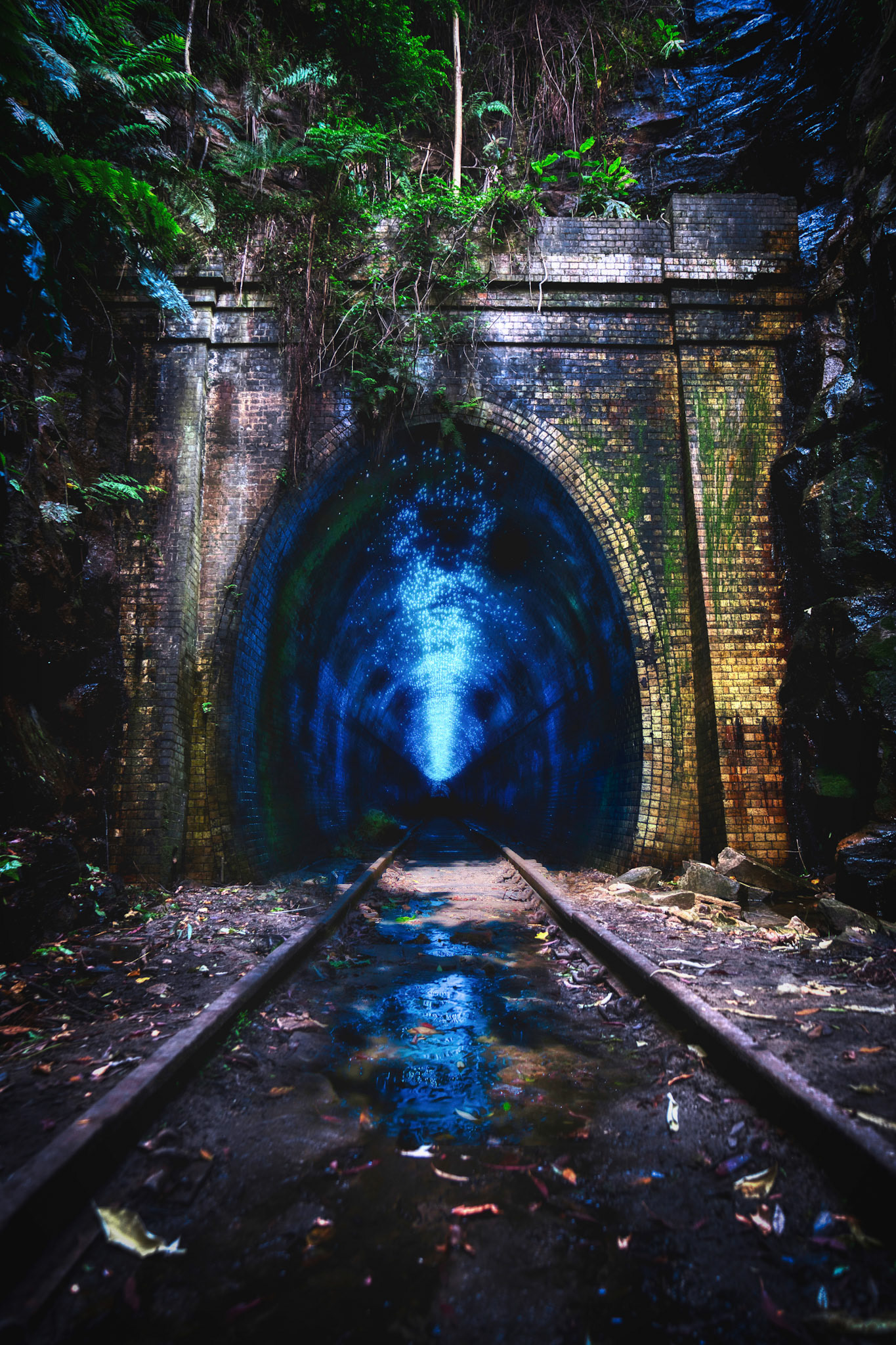 Glow Worm Tunnel