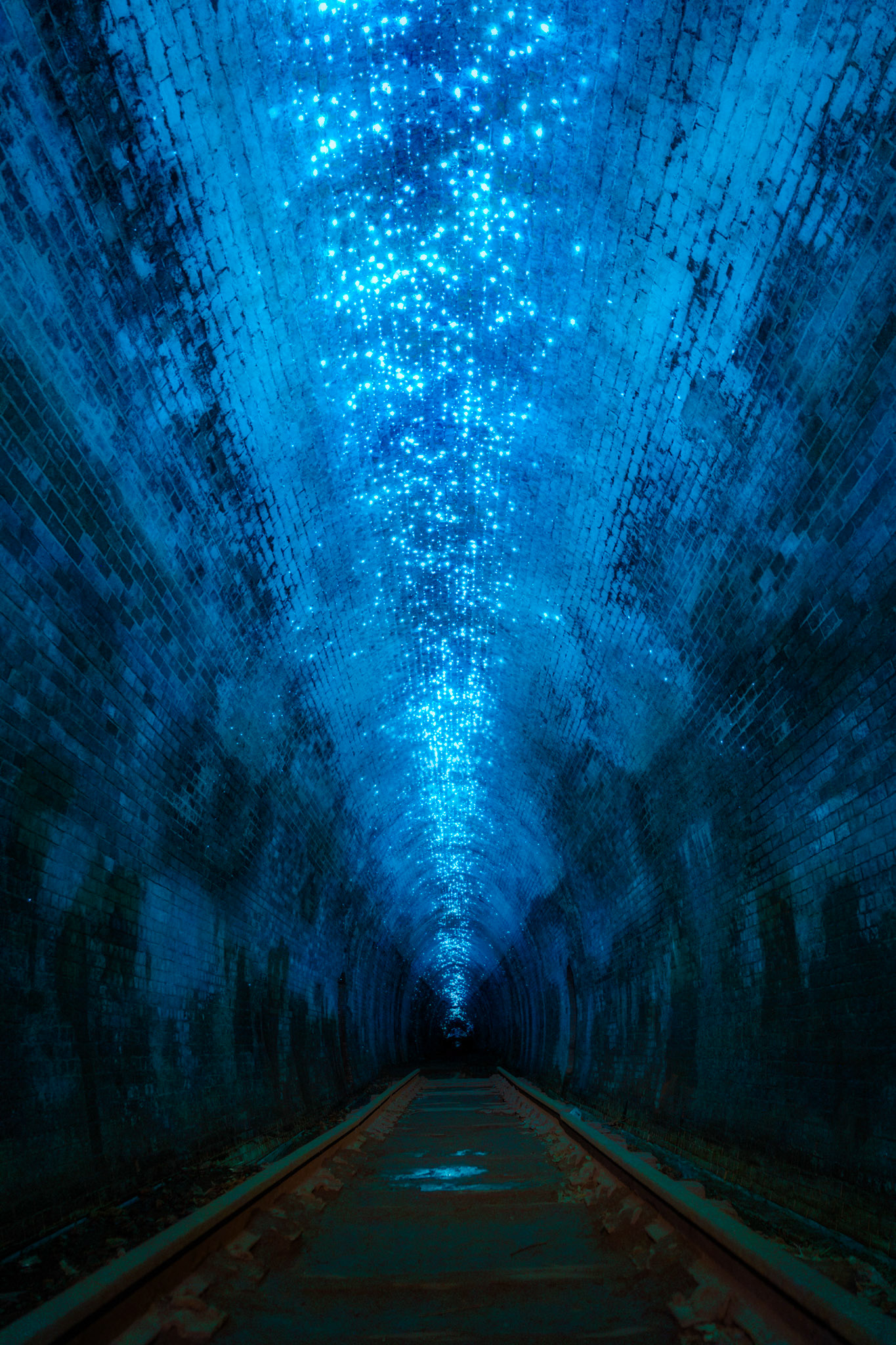 Secret Tunnel