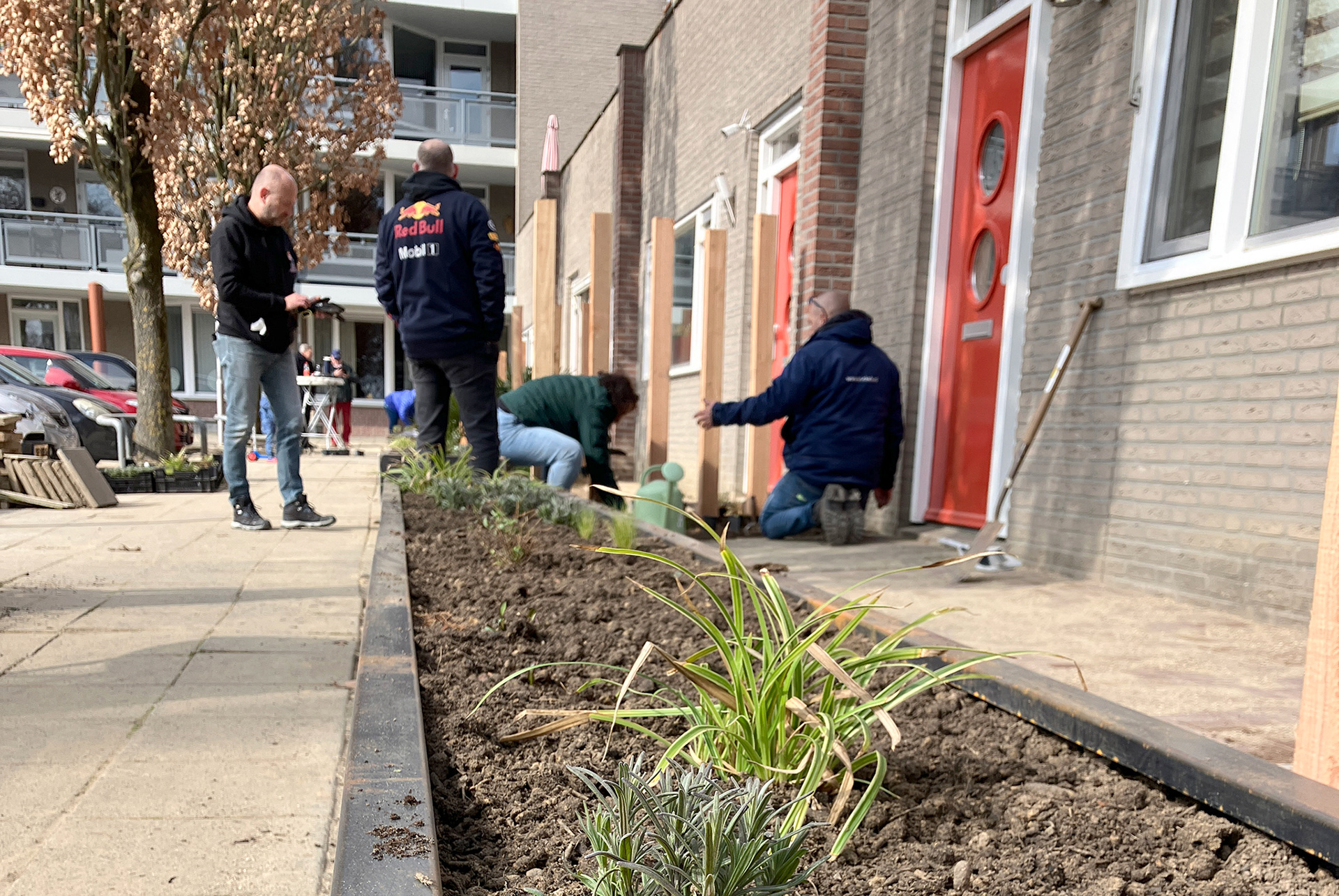 Plantdag op 15 maart 2025