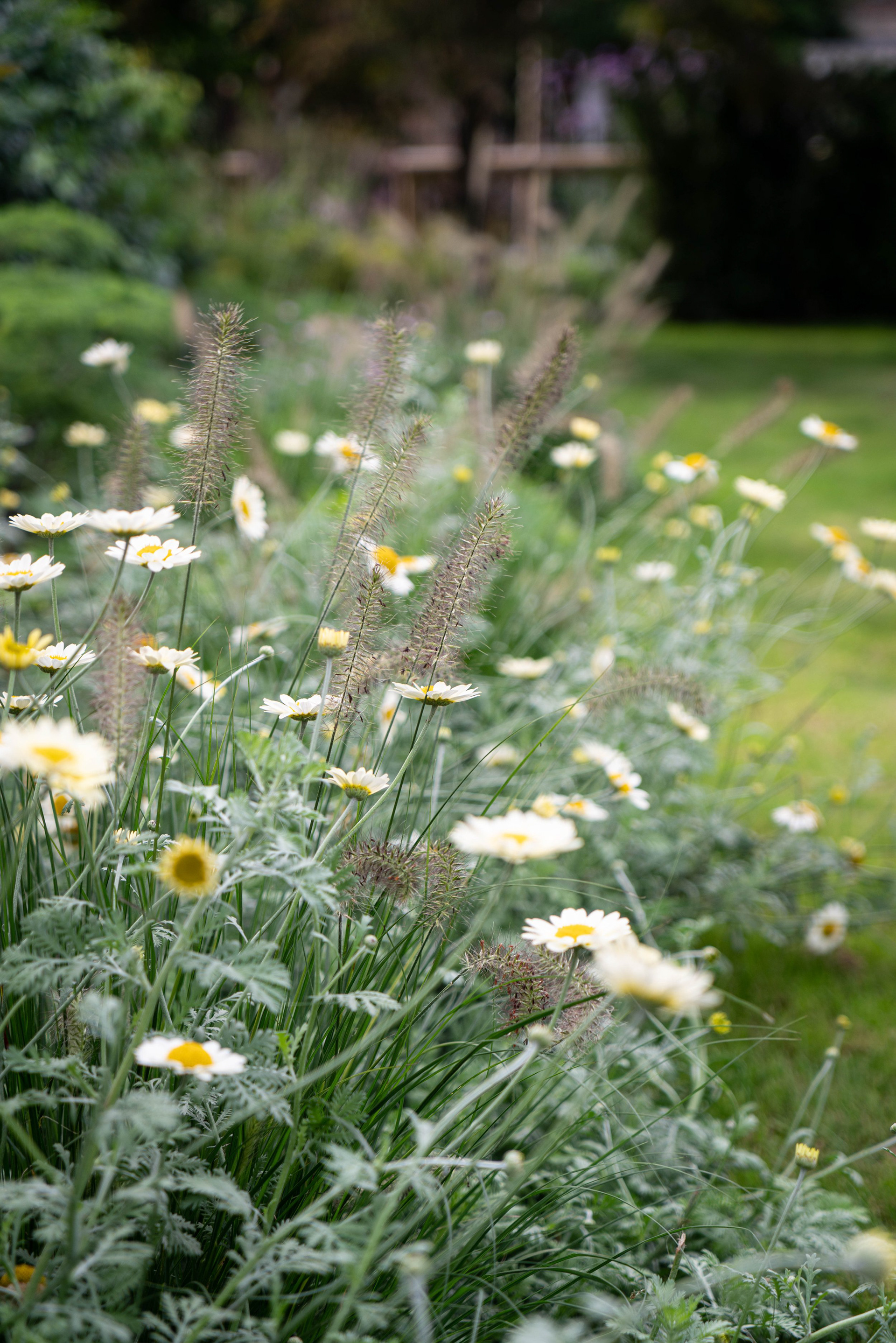 Referentiebeeld: natuurlijke en losse beplanting (© farlamandchandler.com)