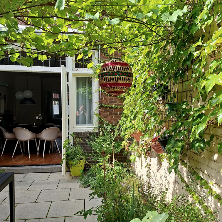 Zonnige border