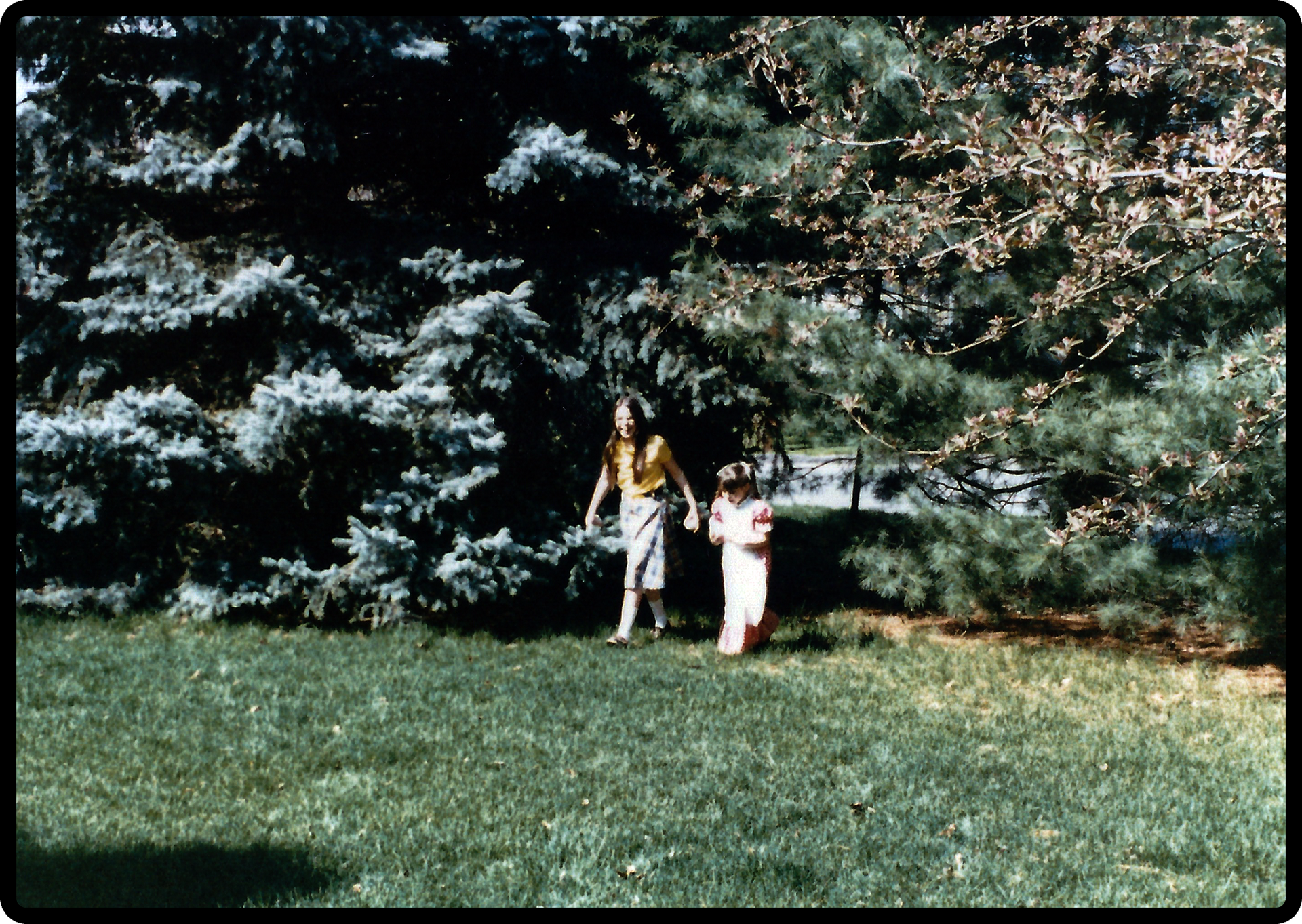 Stelly's girls near the big tree