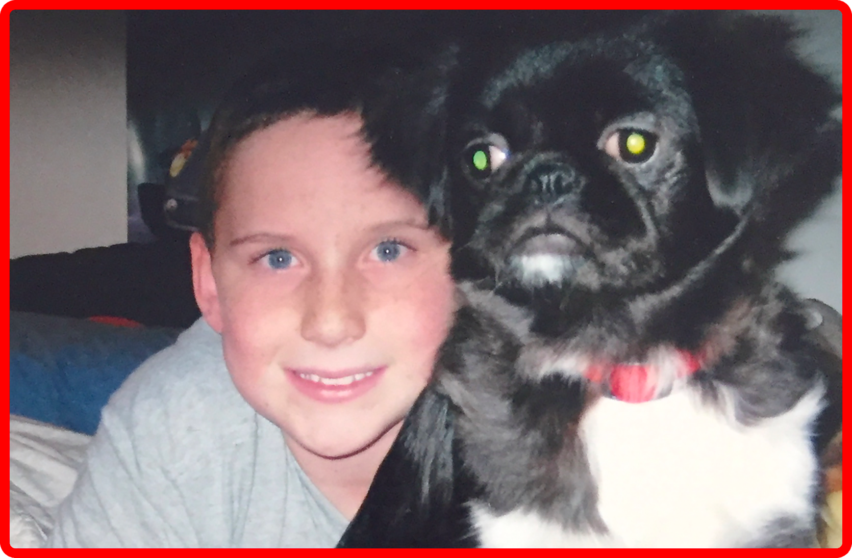 First Pet