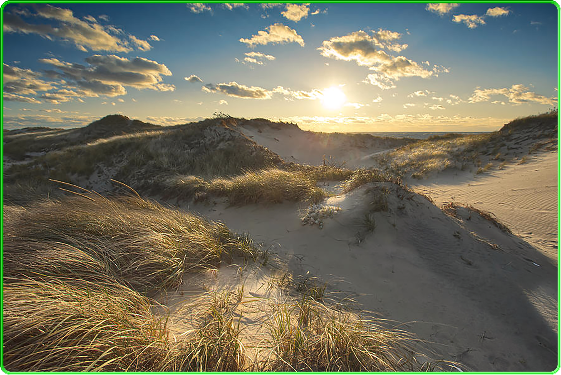 Welfleet Sand Dunes