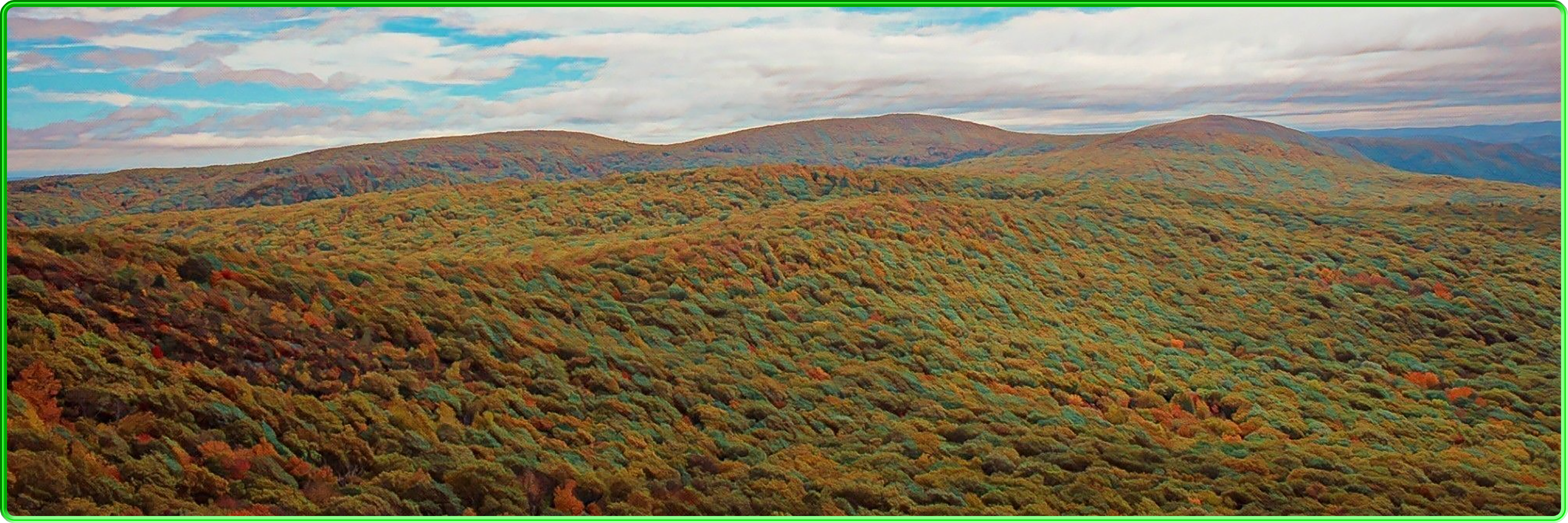 Mount Washington