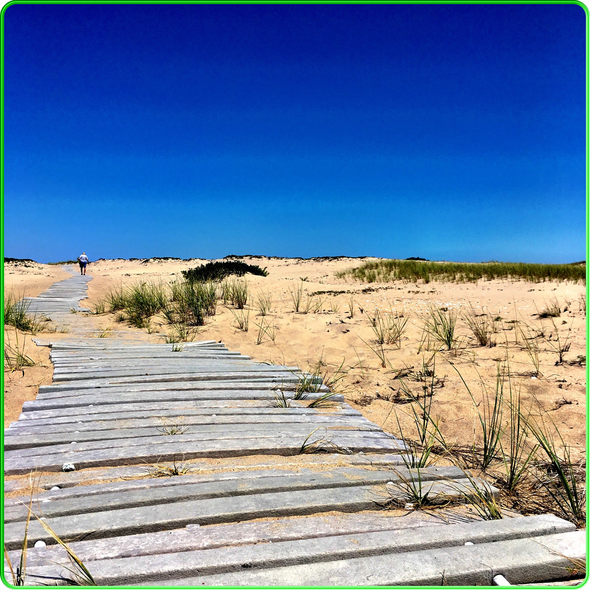 Chappaquiddick Island