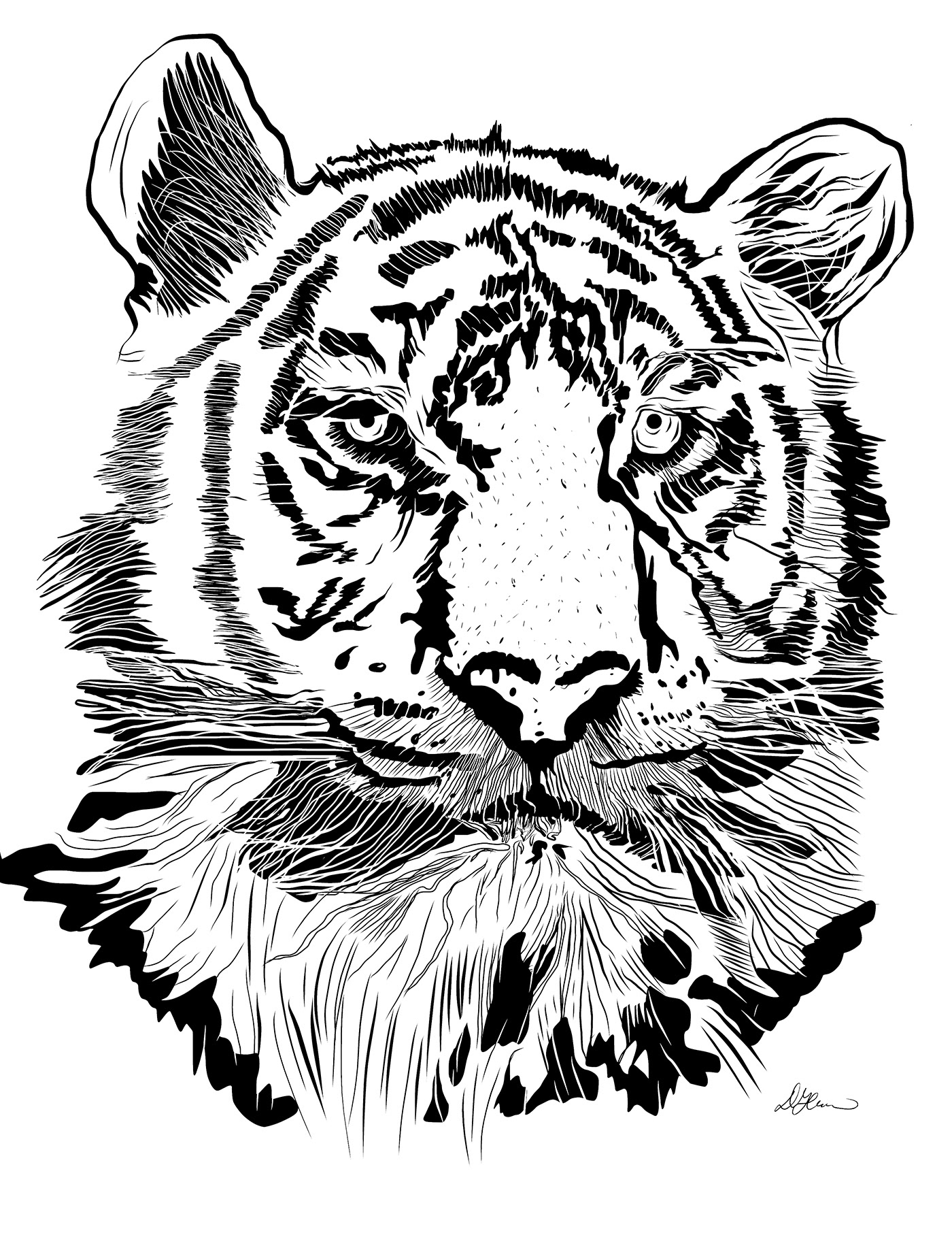 Tiger phone sketch