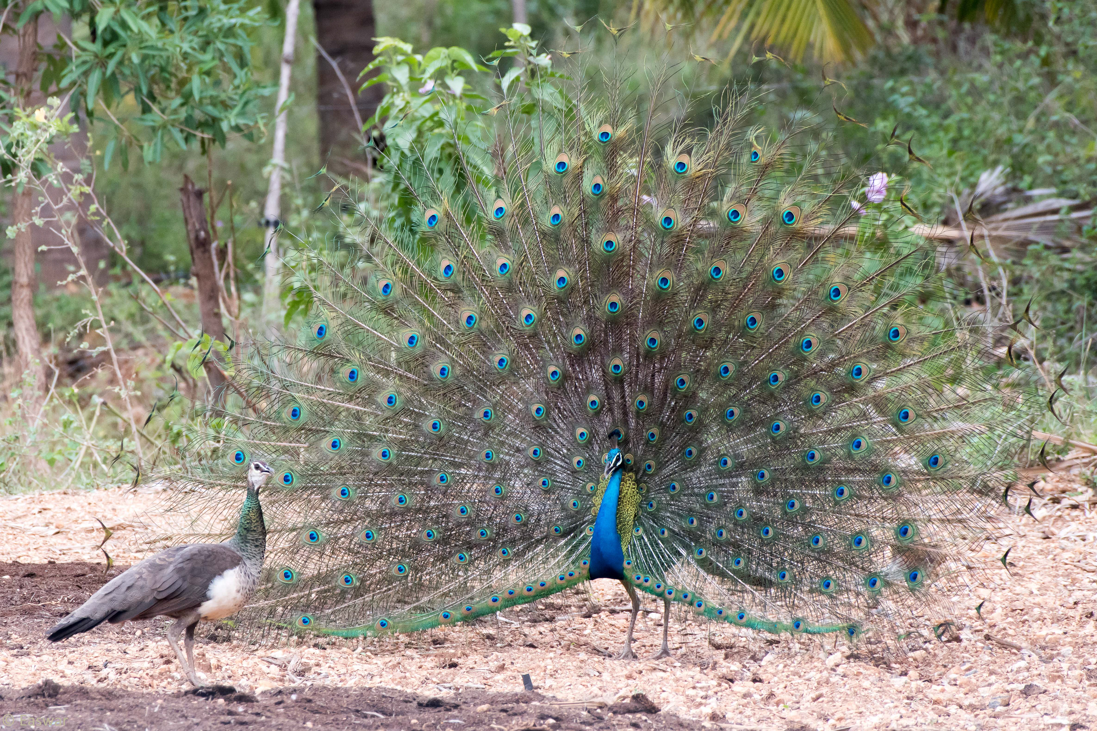 Do you need caption? :)