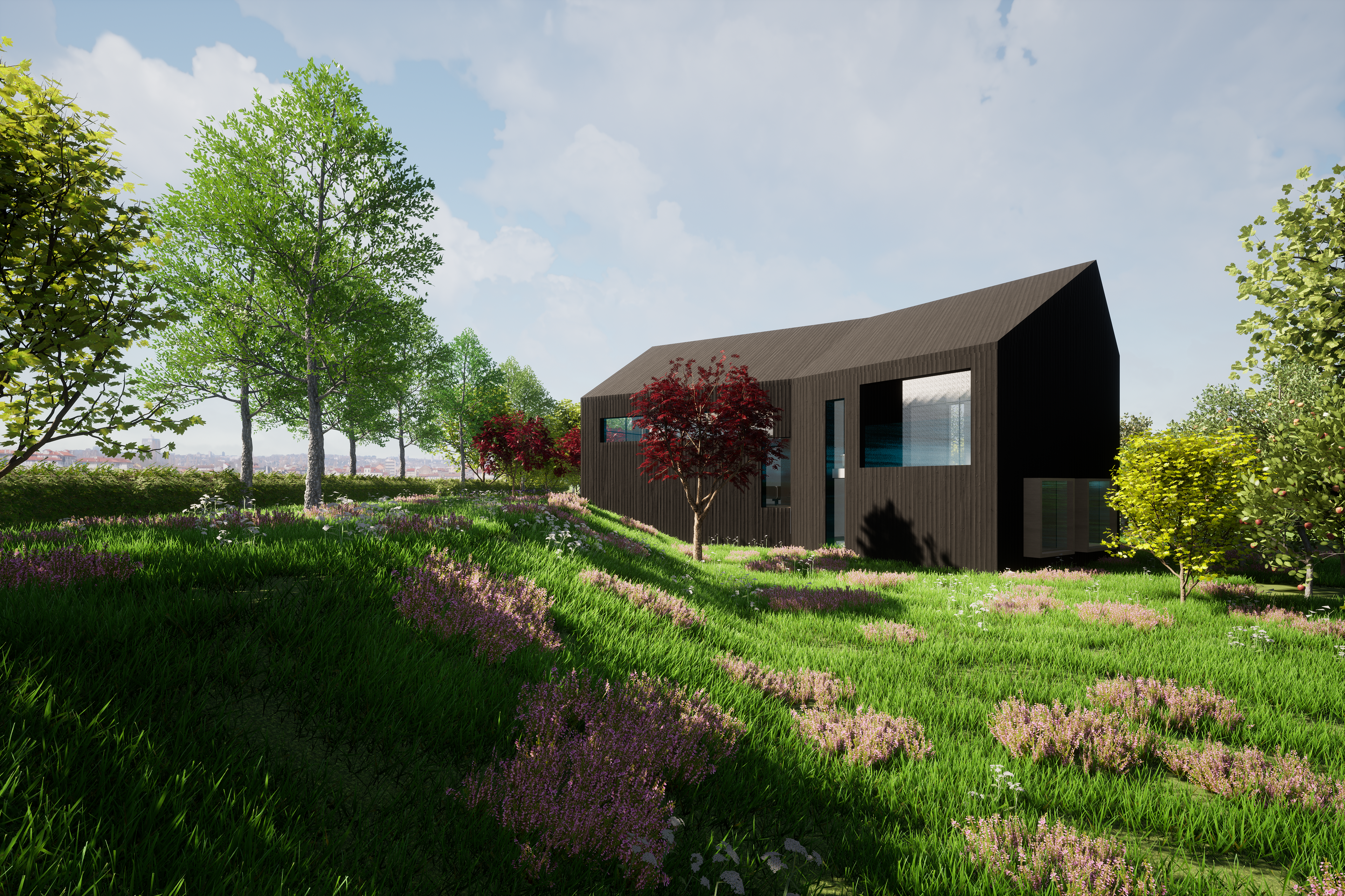 View From the Garden