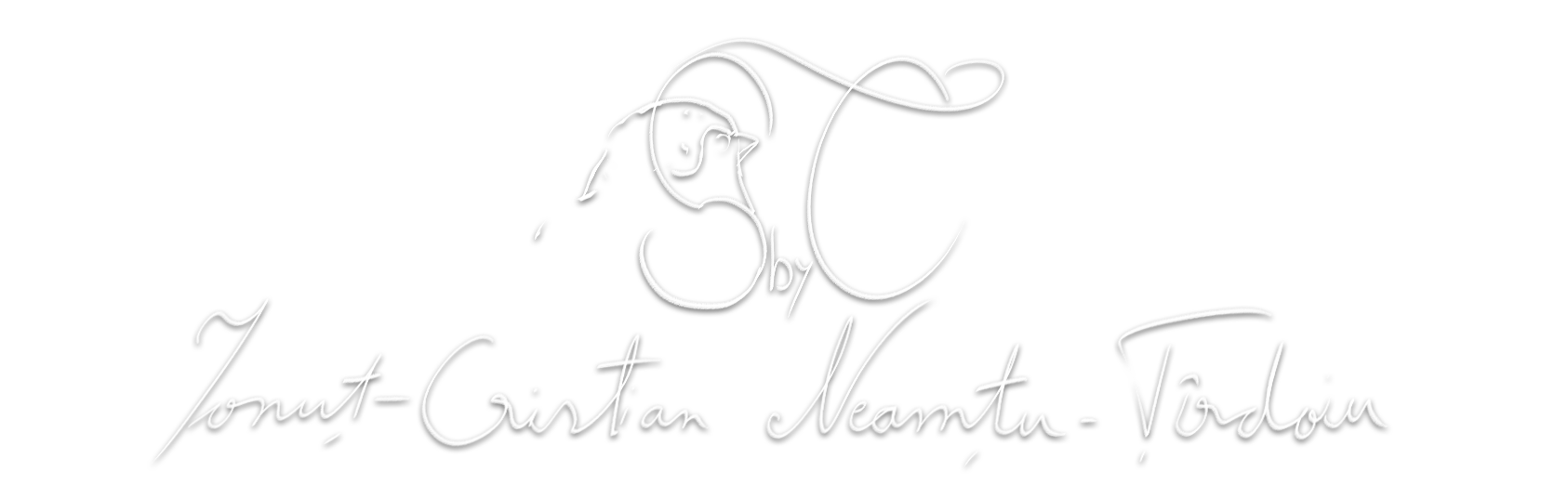 Ionut-Cristian Neamtu-Tirdoiu