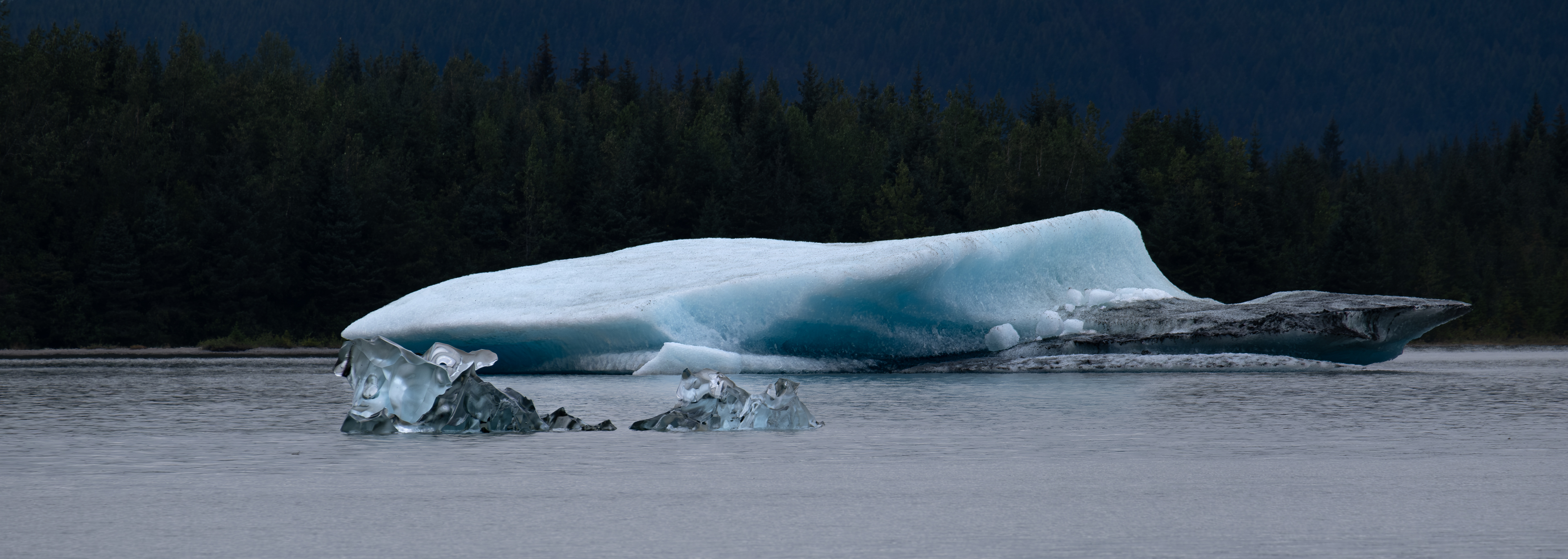Mendenhall Glacier. Juneau. Alaska. USA.