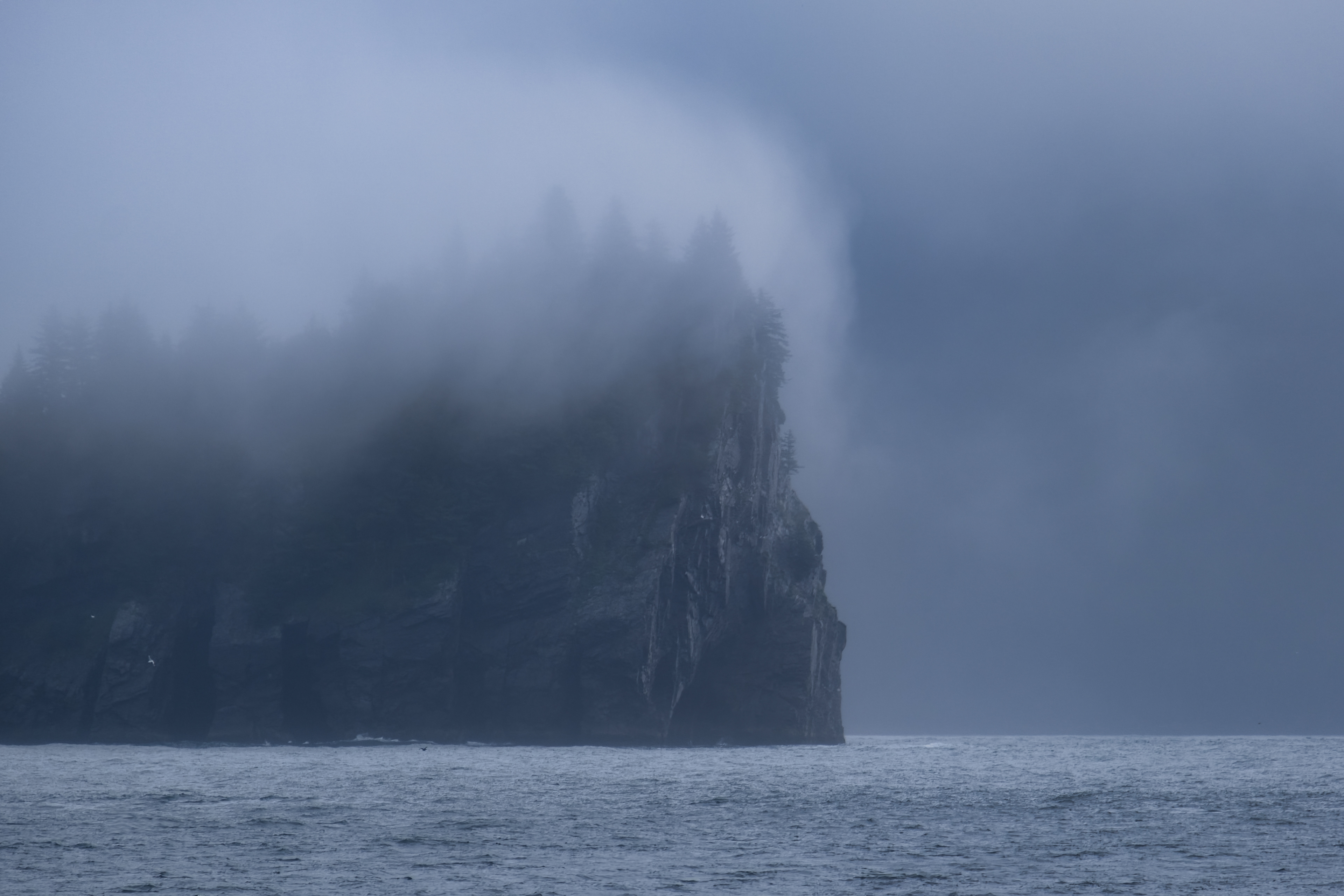 Kenai Fjords National Park. Alaska.