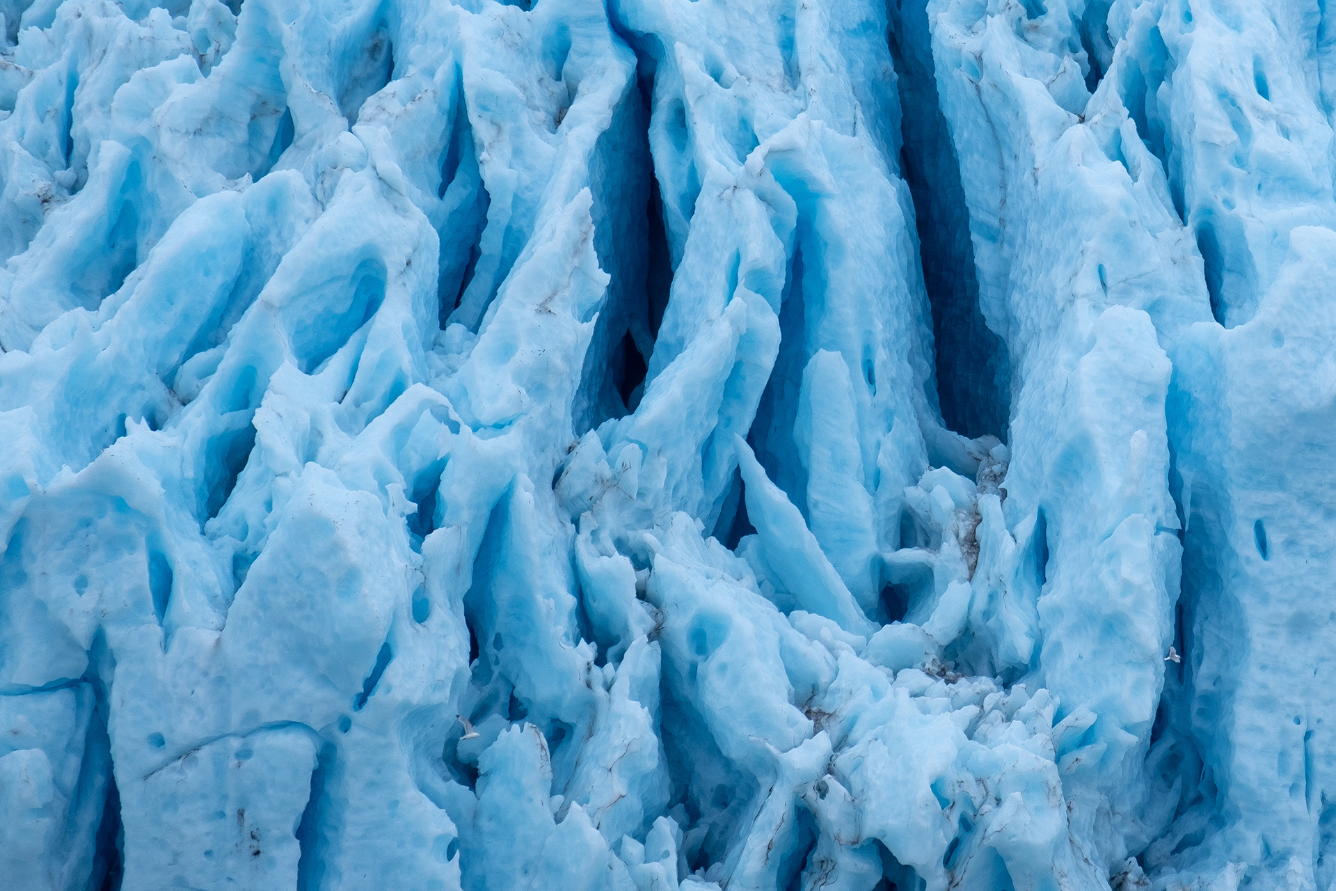 Kenai Fjords. Alaska.