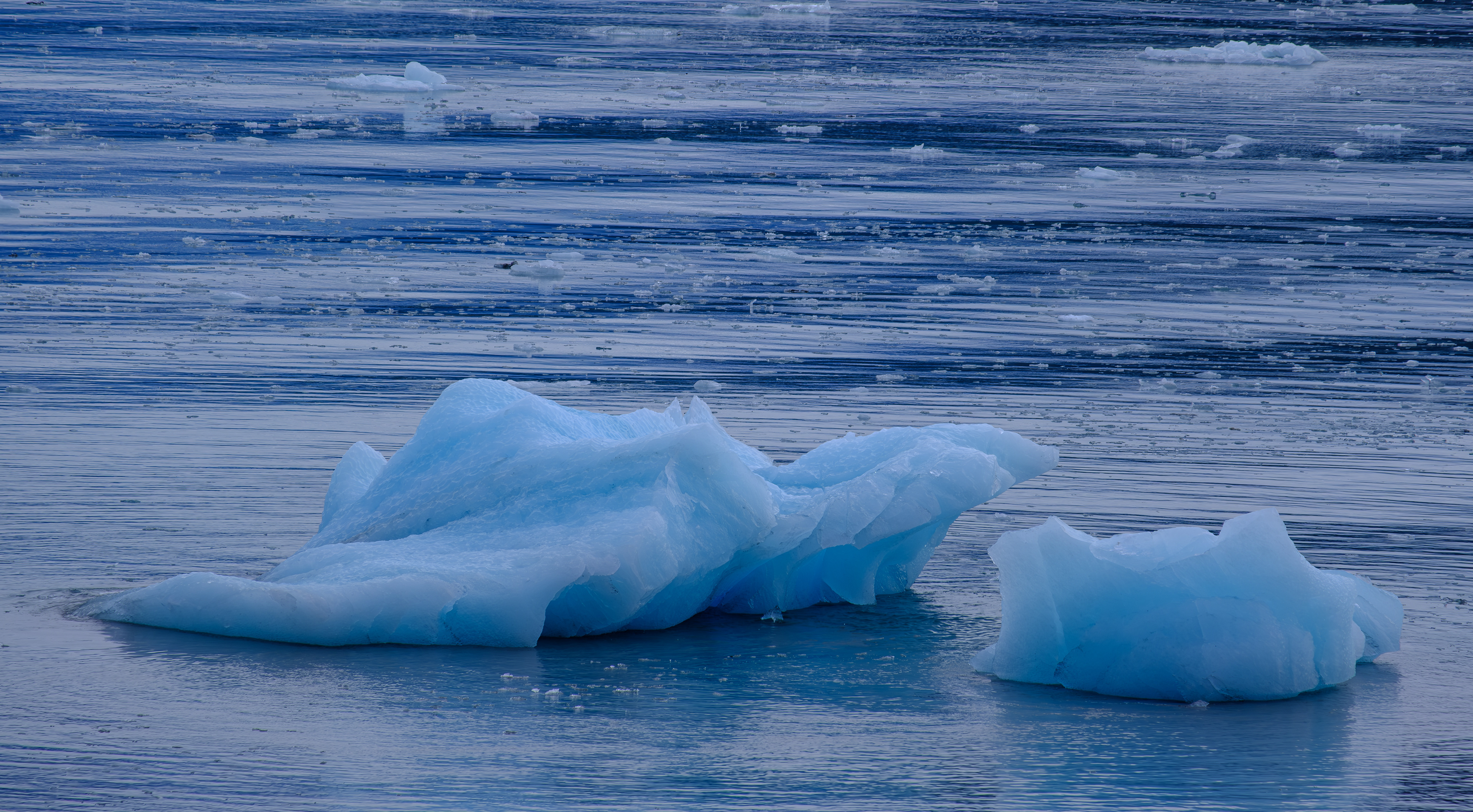 Hubbard Glacier. Alaska. USA.