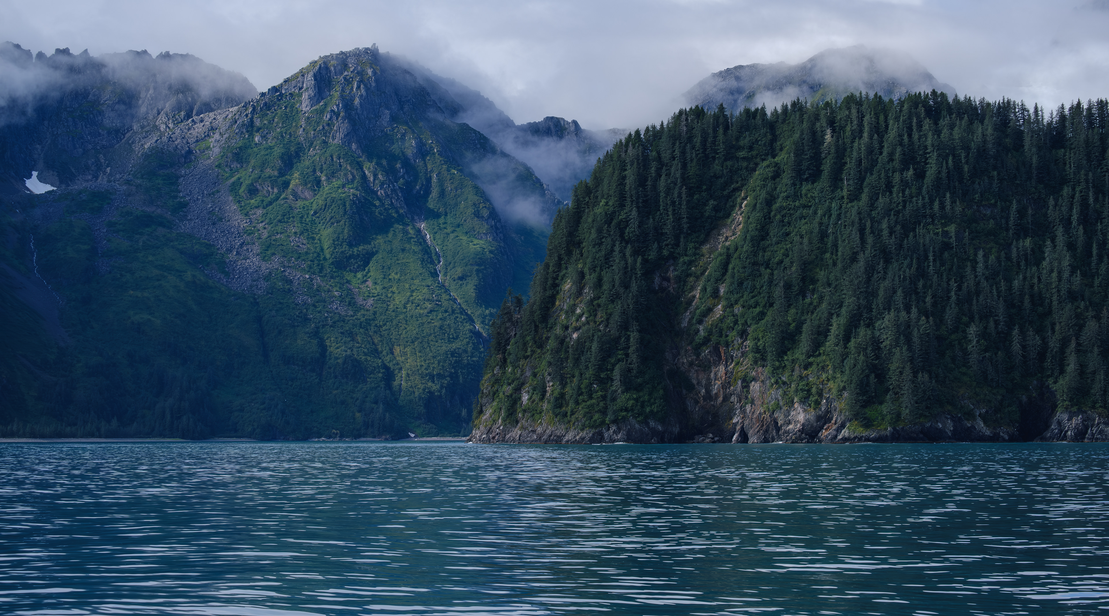 Kenai Fjords National Park. Alaska.