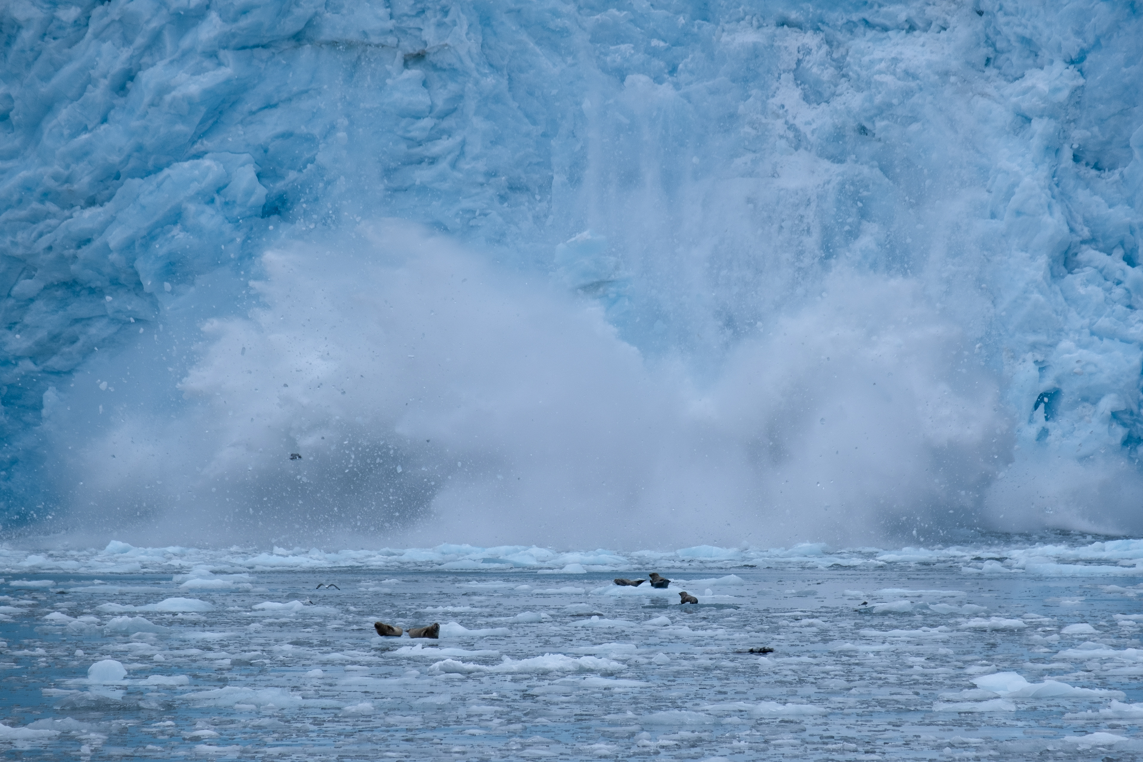 Kenai Fjords. Alaska.