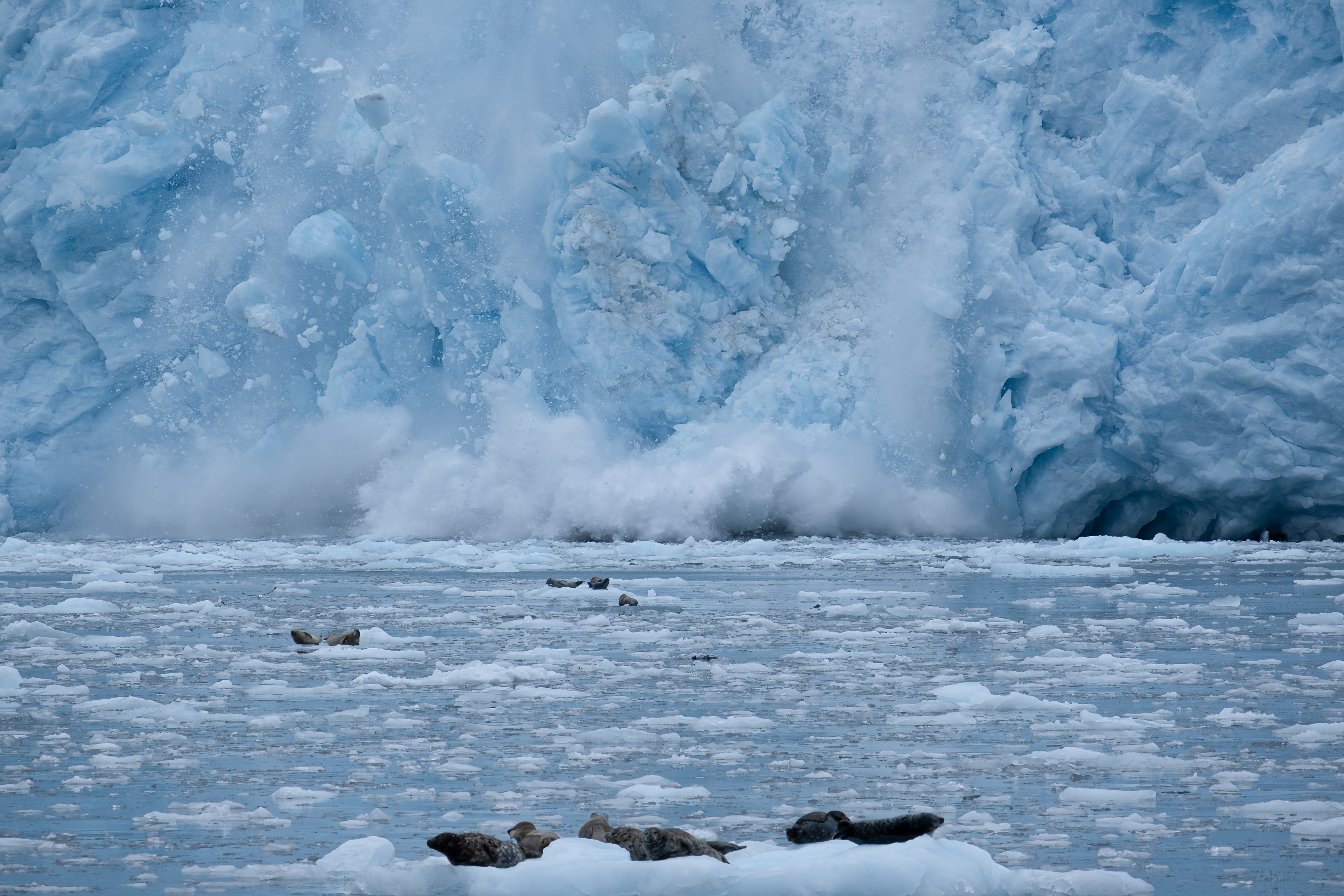 Kenai Fjords. Alaska.