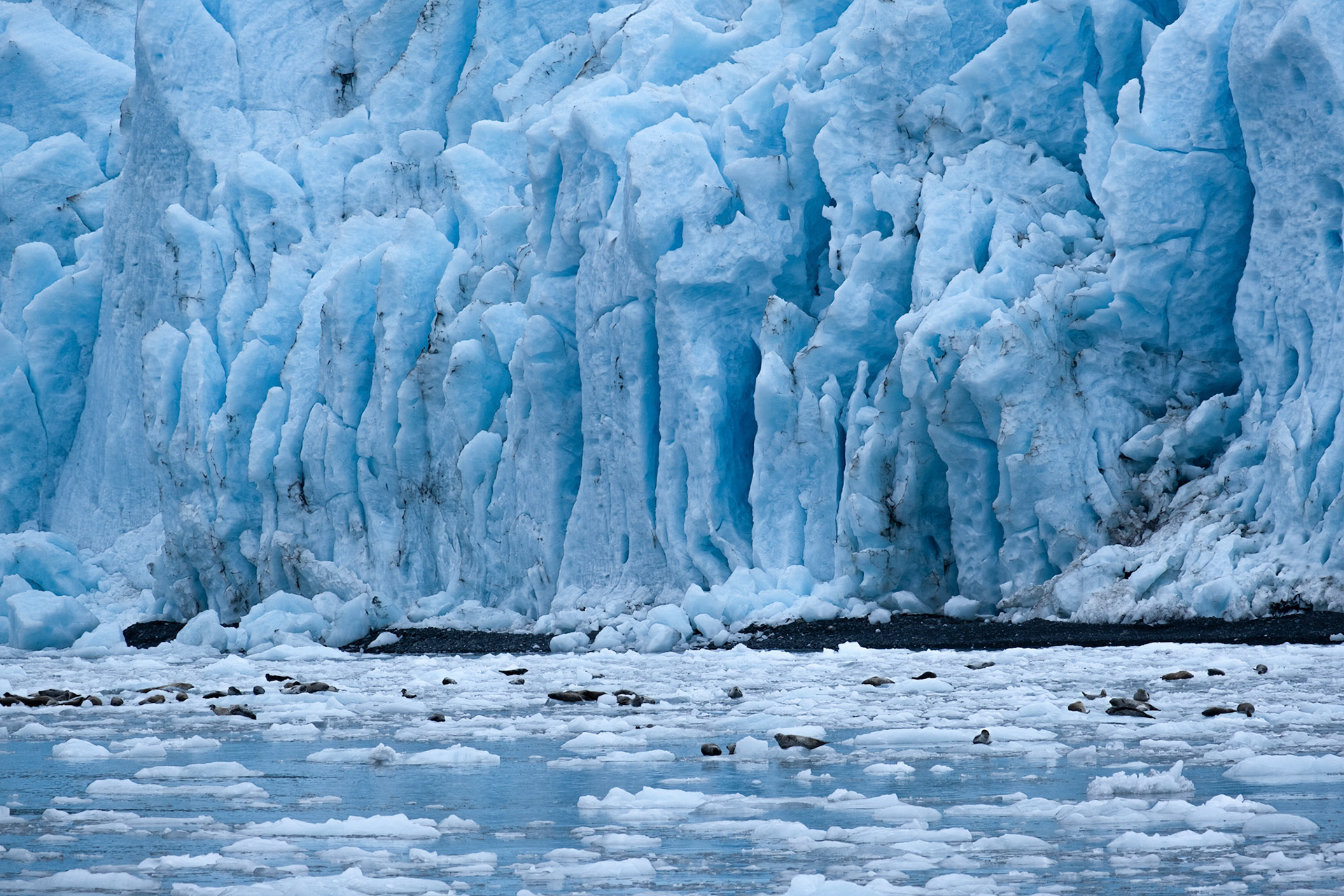 Kenai Fjords. Alaska.
