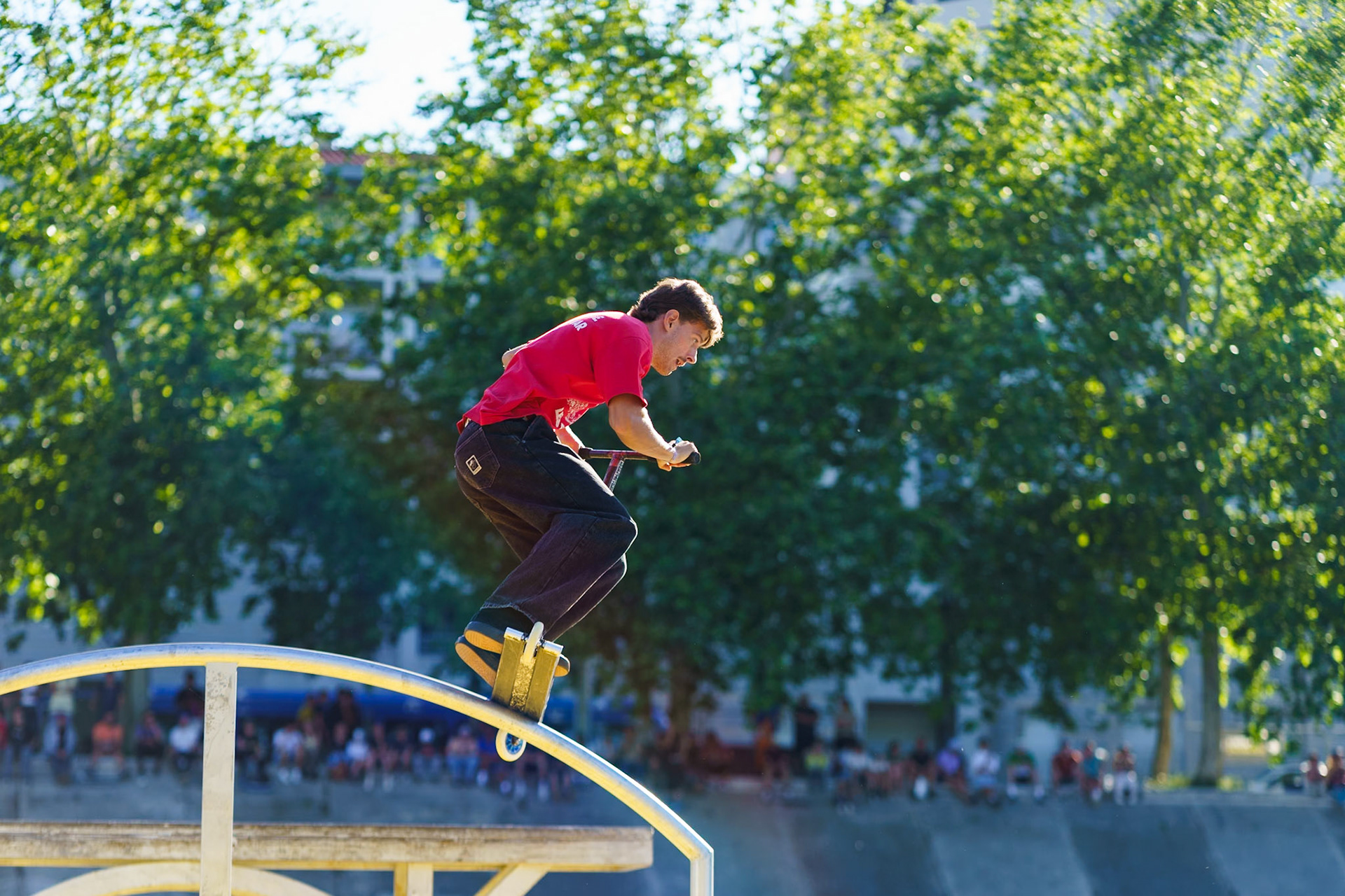 FISE - Montpellier 2024