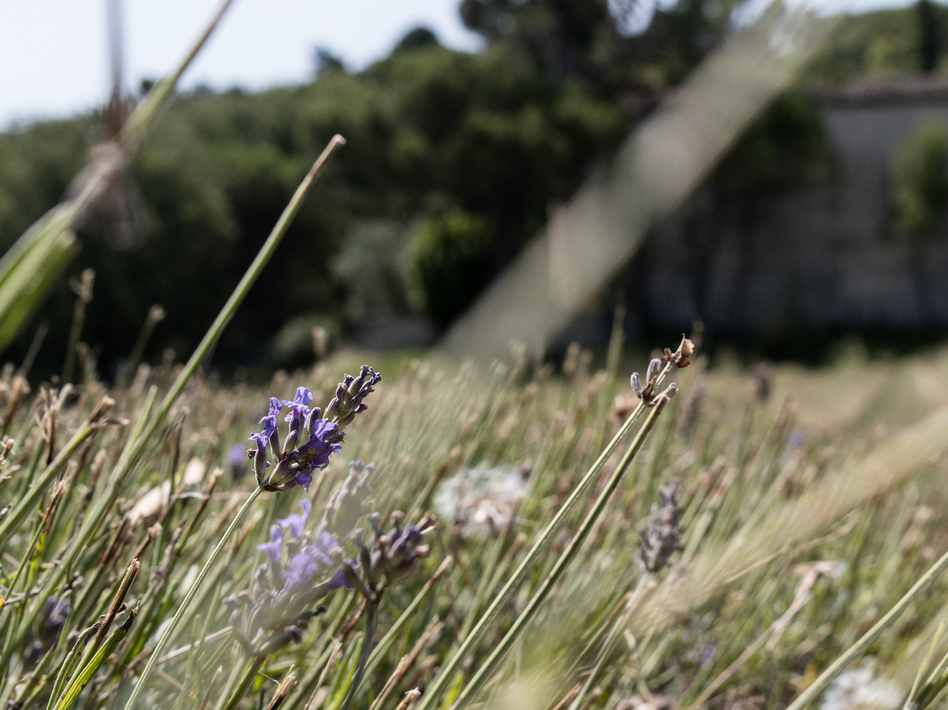 Puygiron, Drôme.