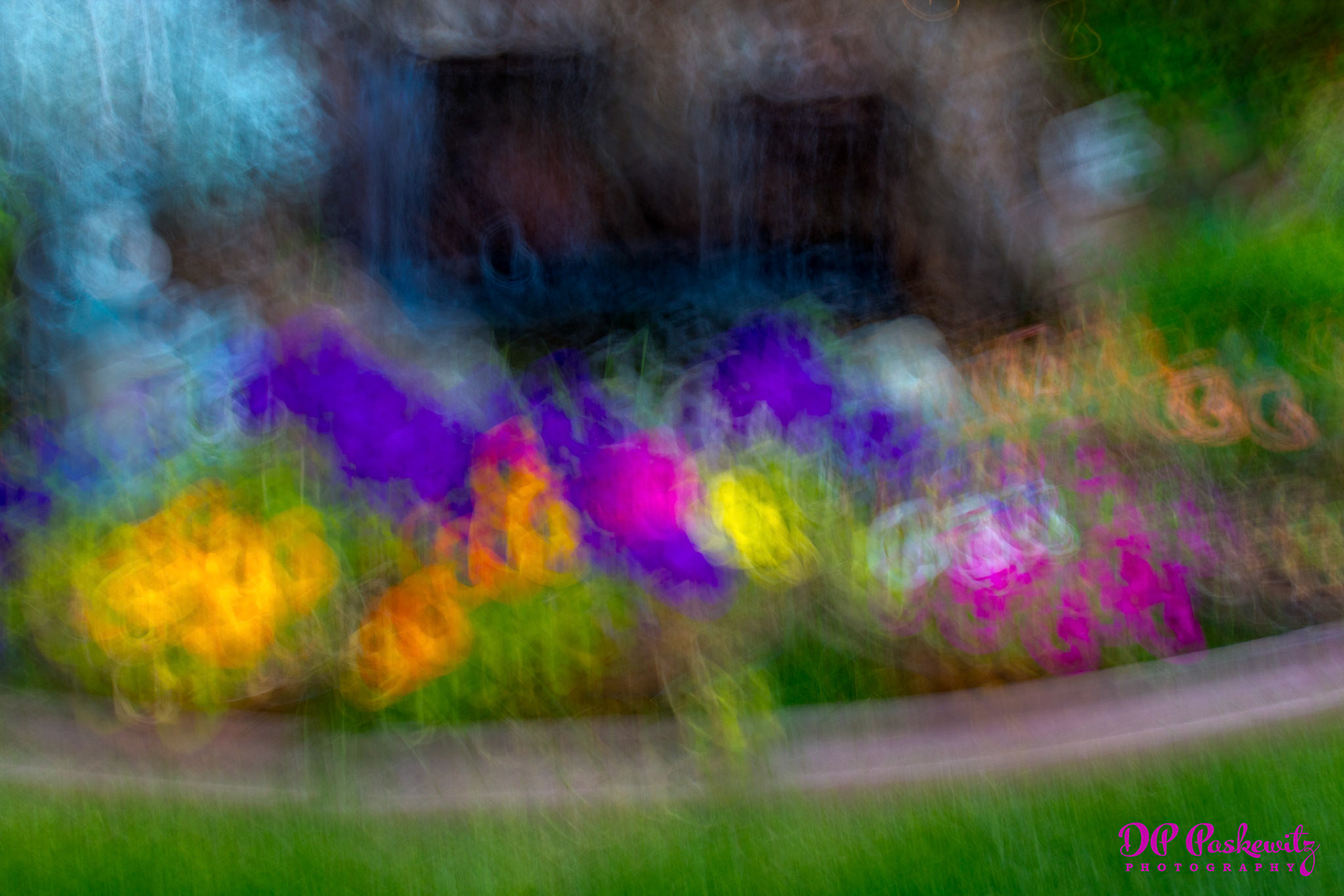 Pond Flower Motion Study:North Natomas, Sacramento, CA, 2021
