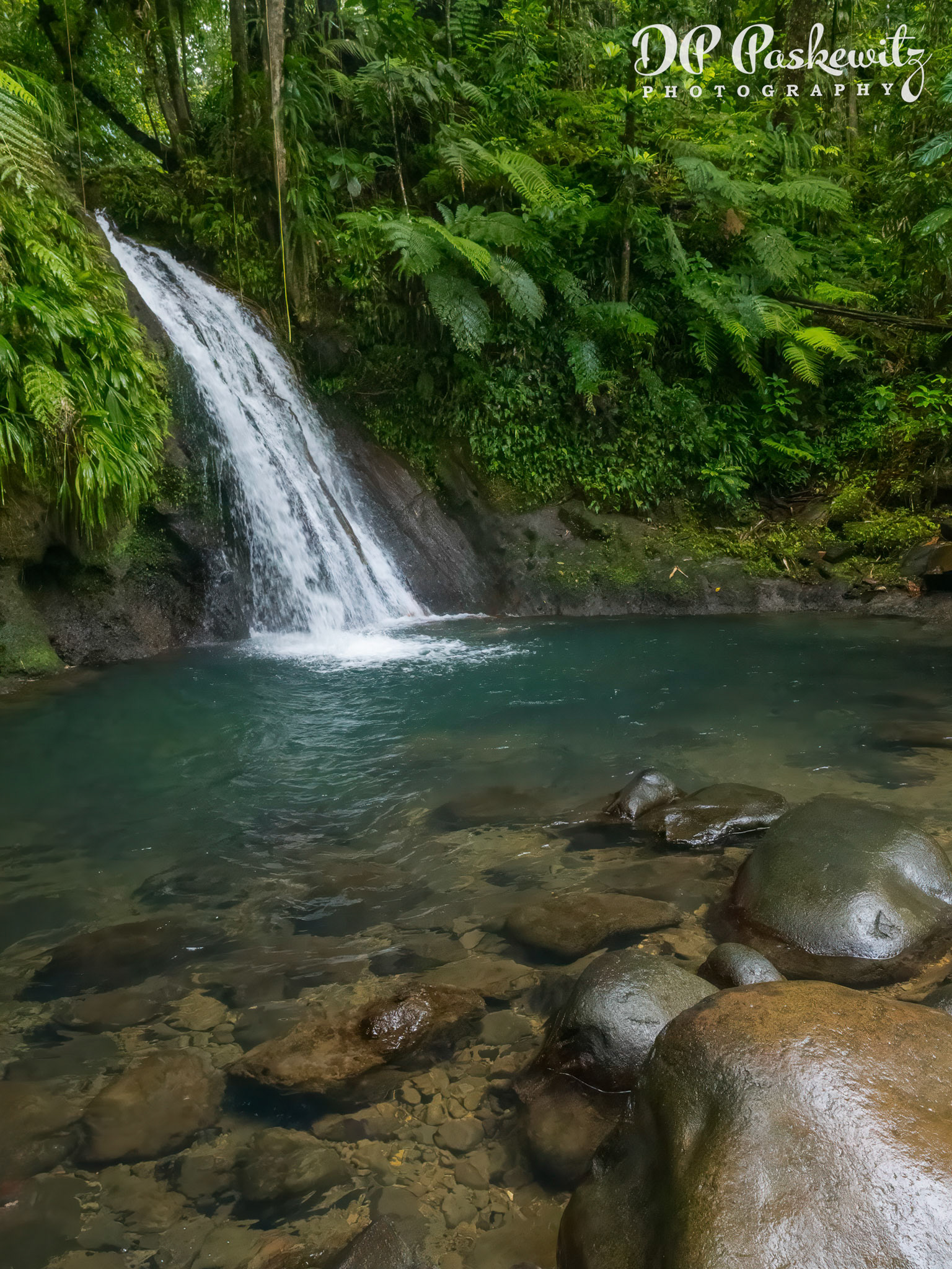 Crayfish Falls: Basse-Terre, Guadeloupe, 2023