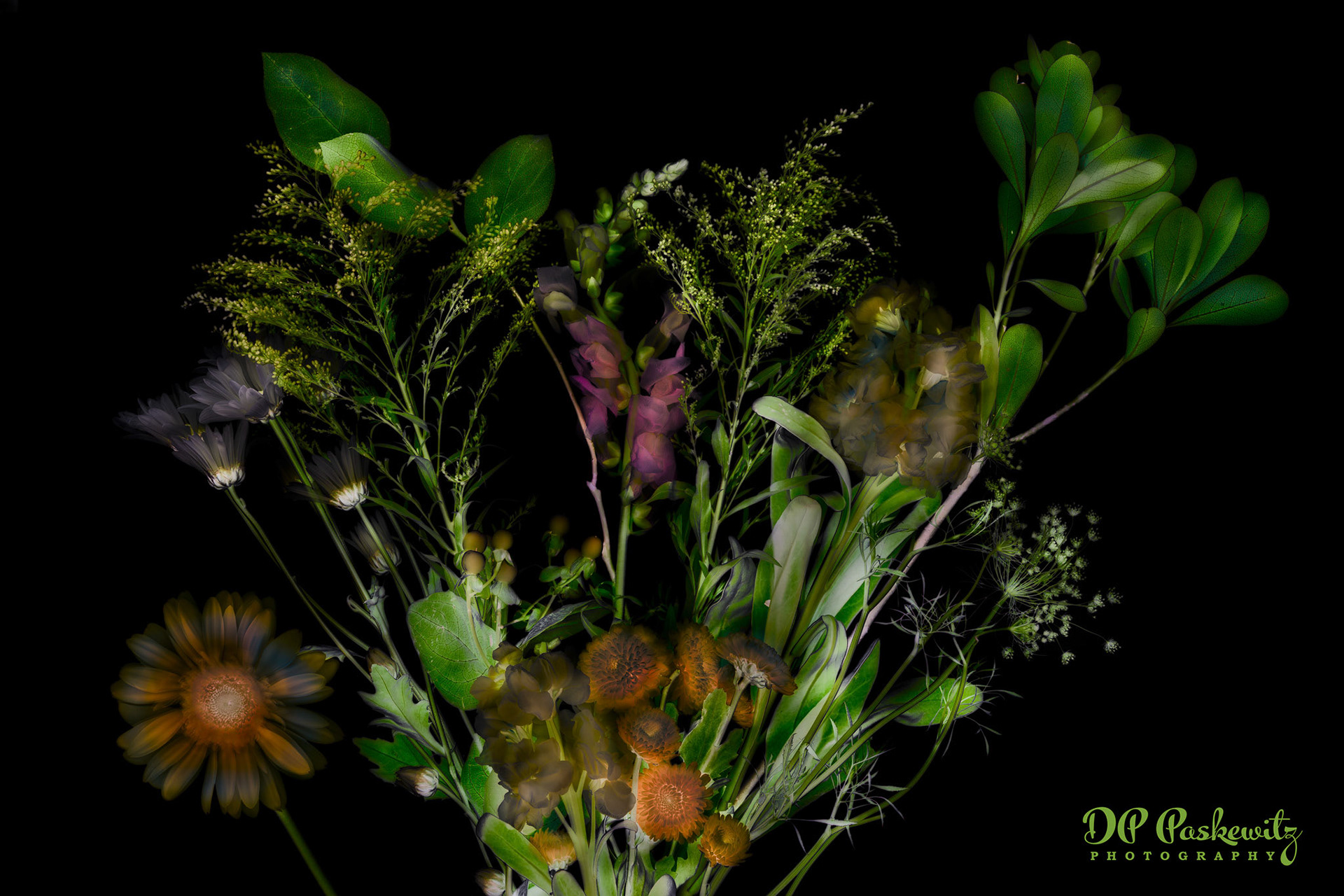 Raley's Bouquet Study - Inversion: North Natomas, Sacramento, CA, 2021