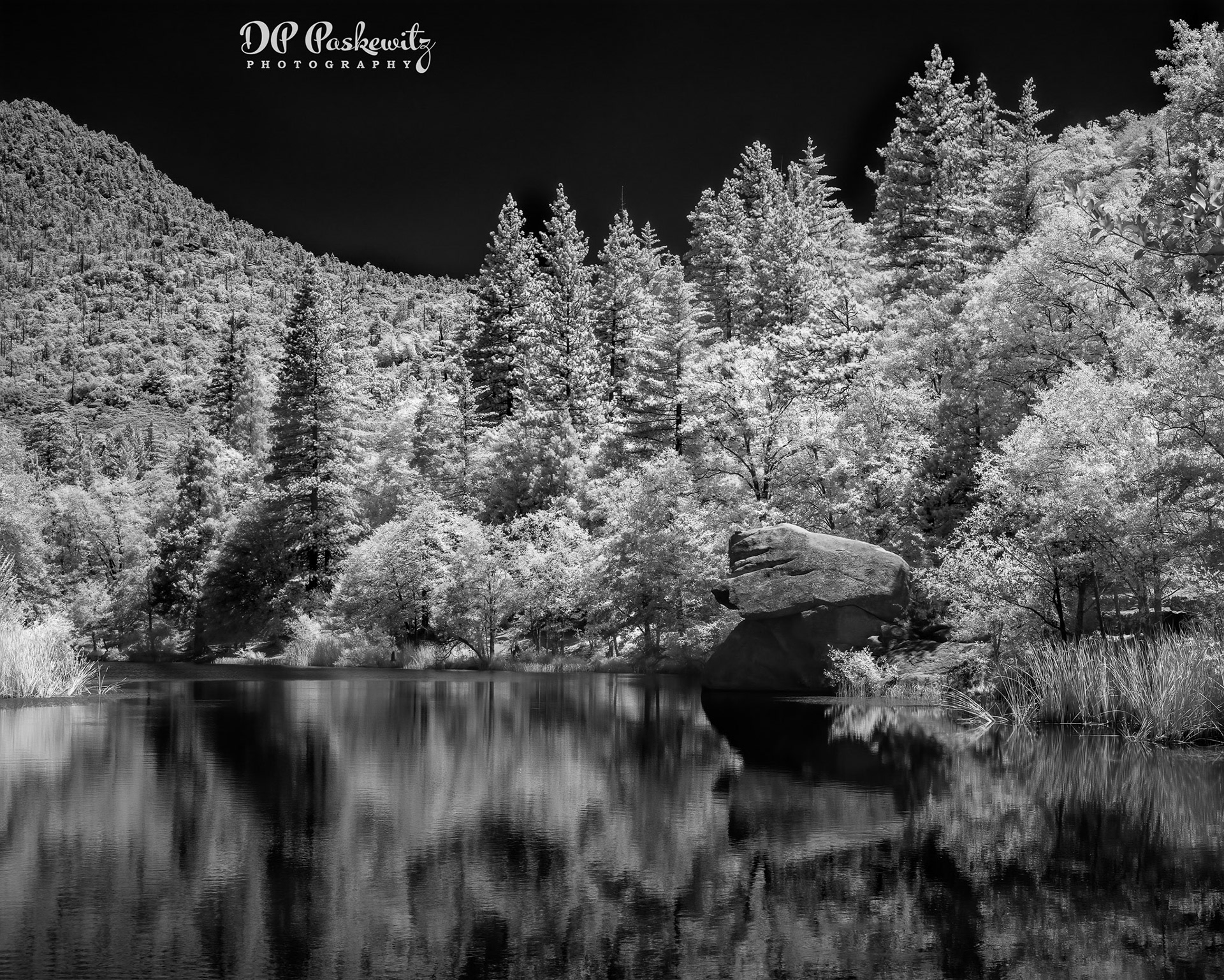 Lake Fulmor: San Bernardino National Forest, CA, 2020