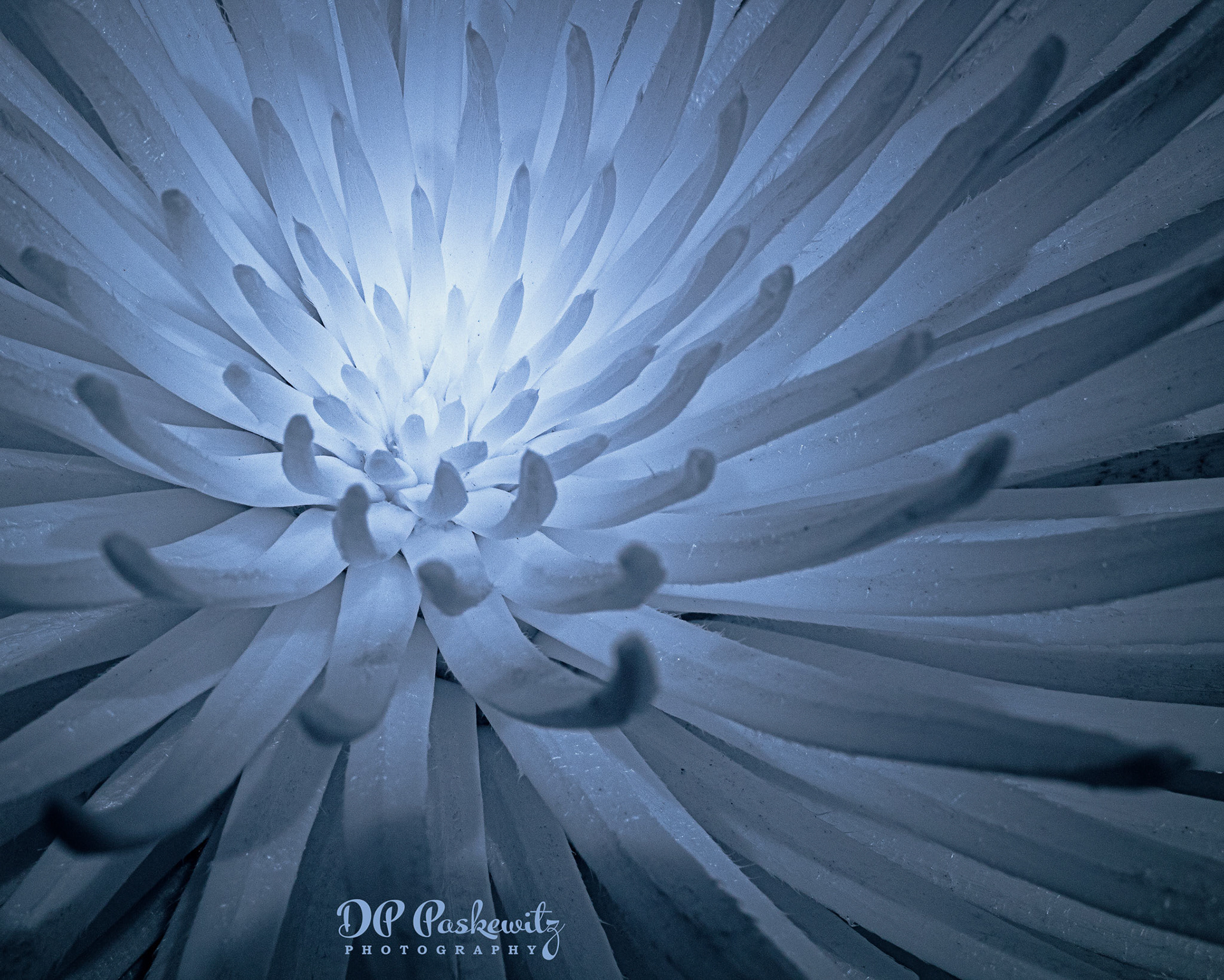 Light Heart: Haleakalā National Park, Maui, HI, 2019