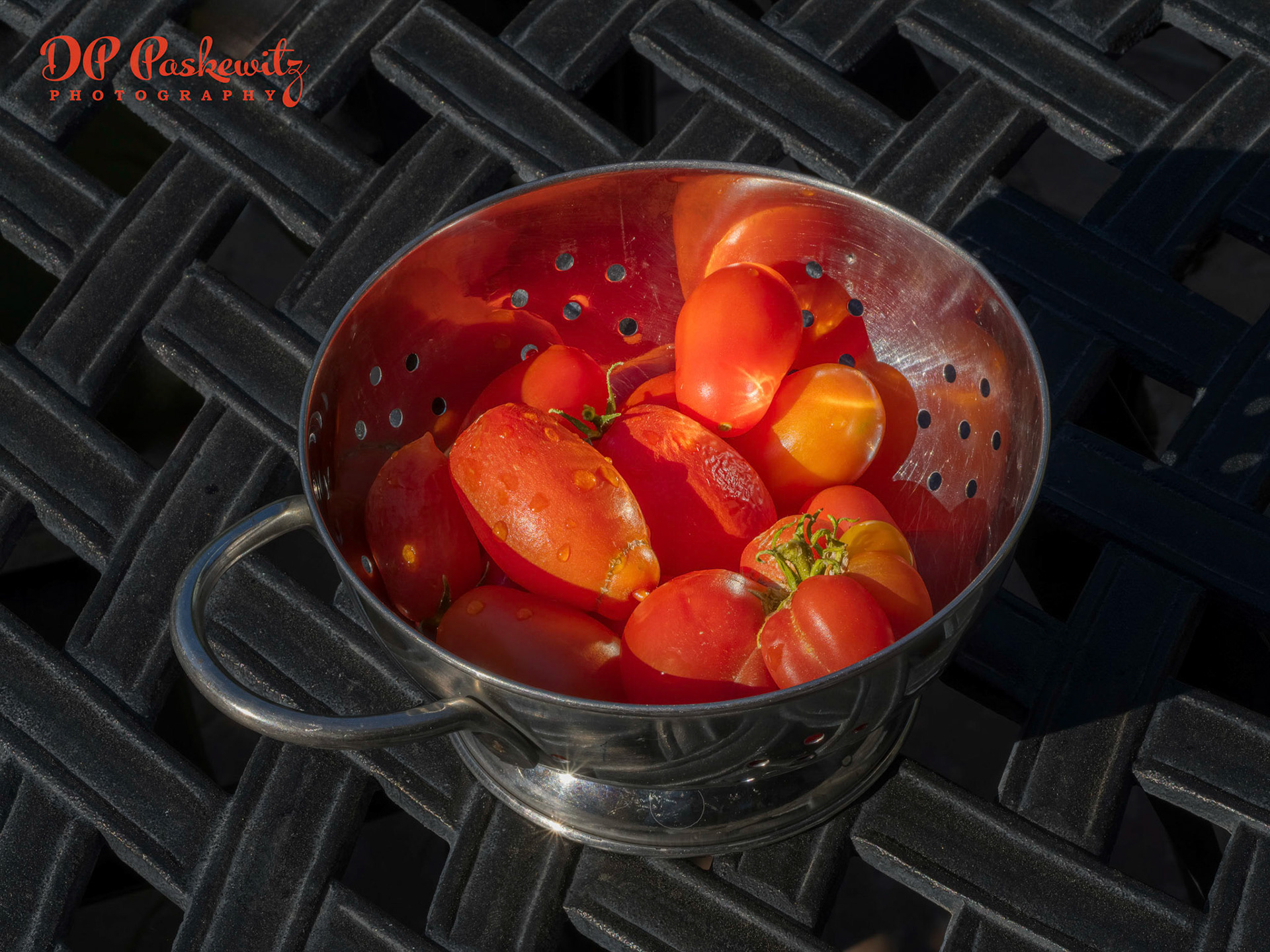 North Natomas, Sacramento, CA 2023