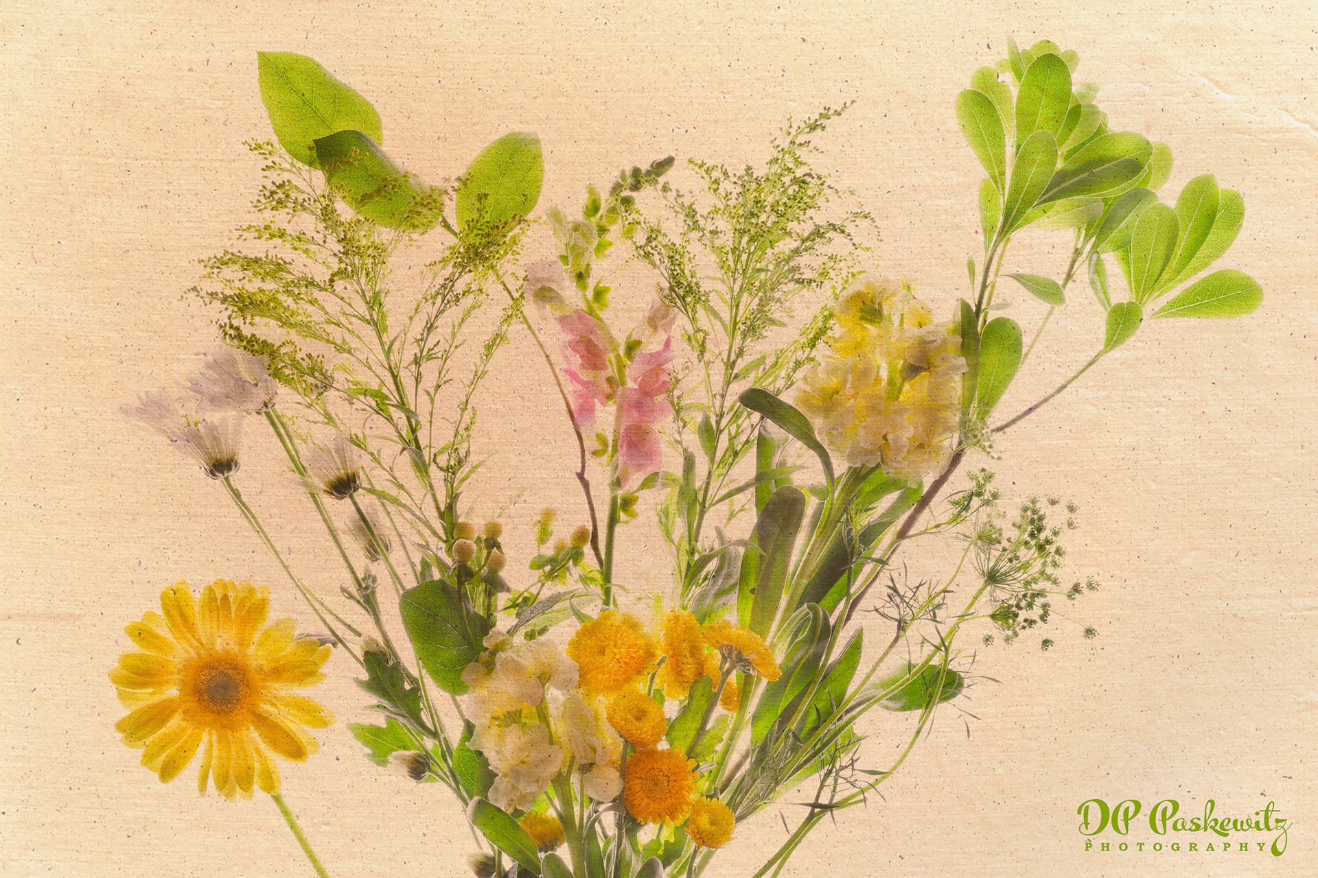 Raley's Bouquet Study No. 3: North Natomas, Sacramento, CA, 2021