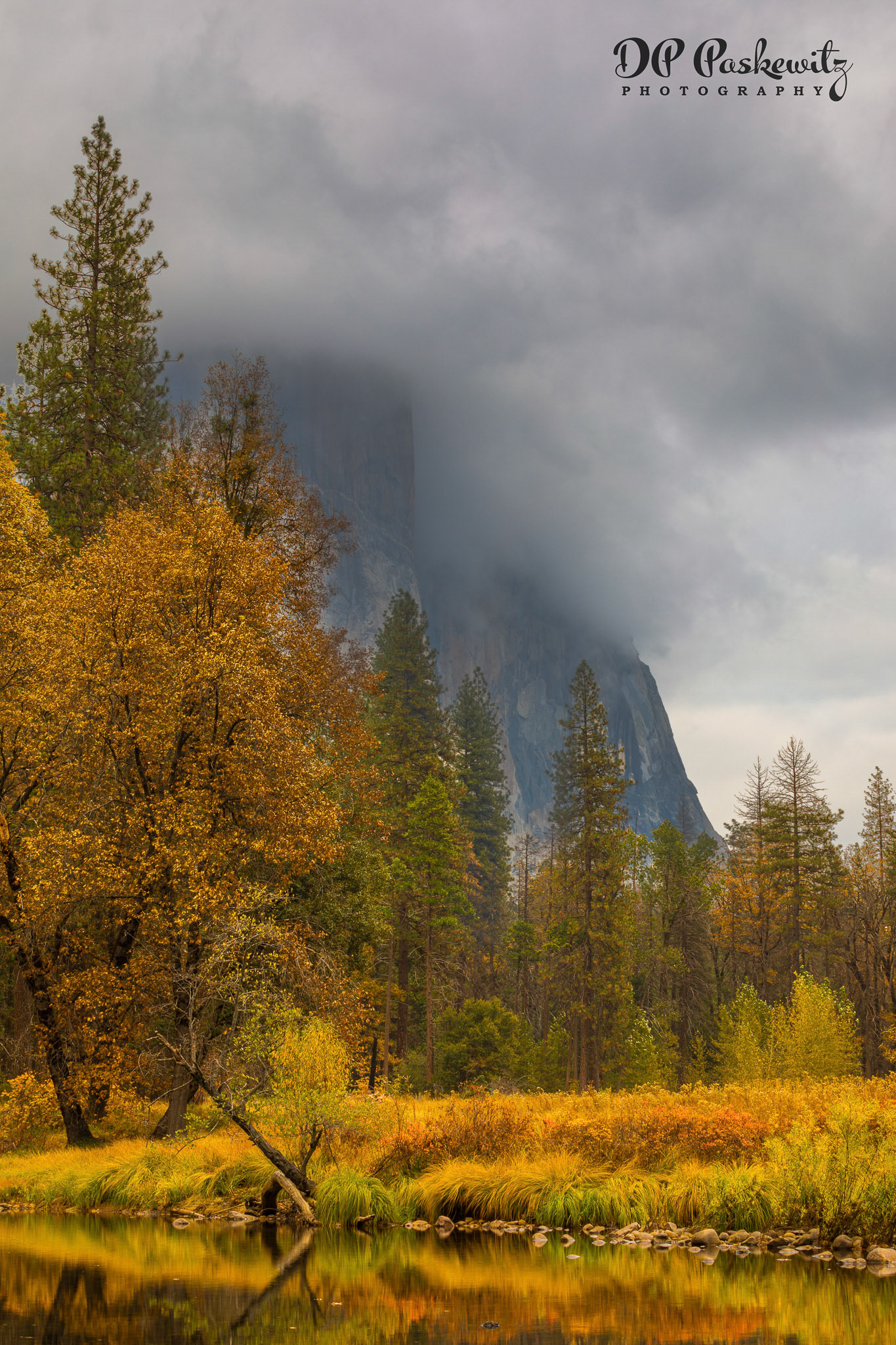 Fall Along the Merced - Number Four: Yosemite NP, CA, 2017