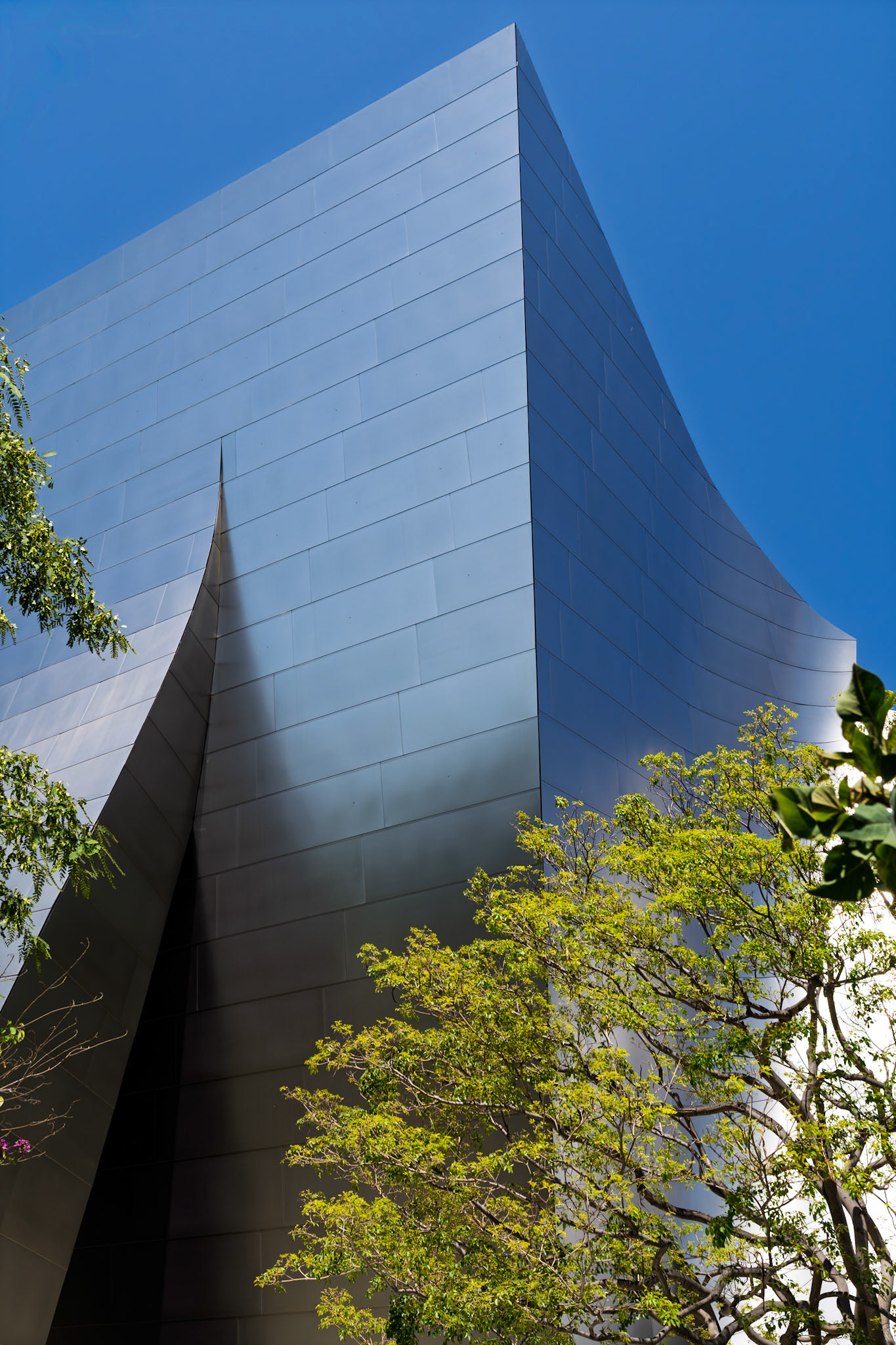 Detail of Walt Disney Concert Hall