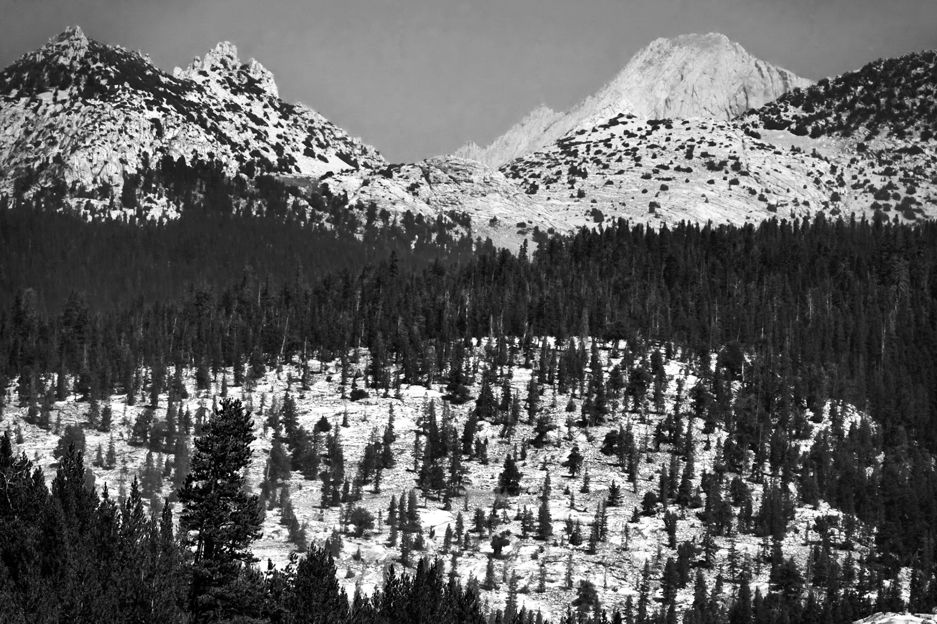 Tuolumne Meadows - Yosemite National Park