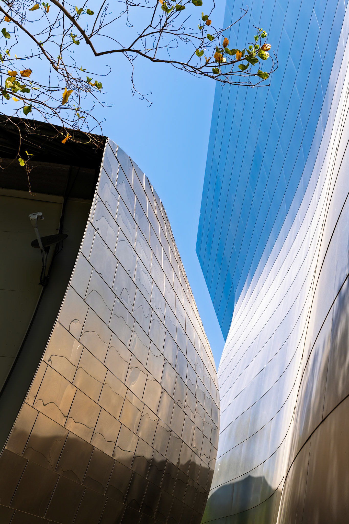 Detail of Walt Disneyt Concert Hall