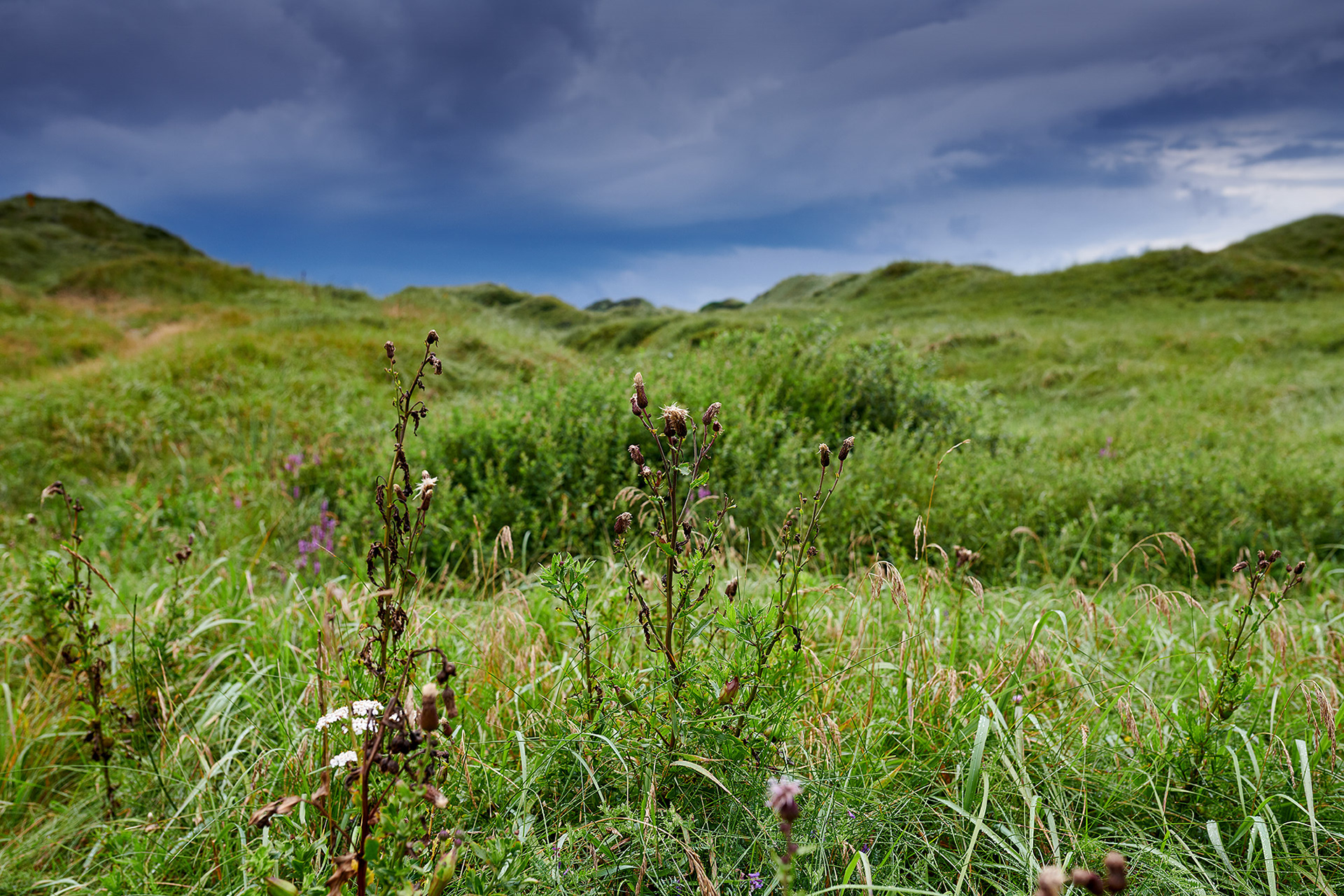 Rødhus