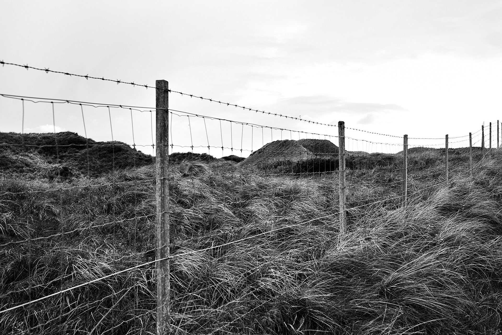 Rødhus