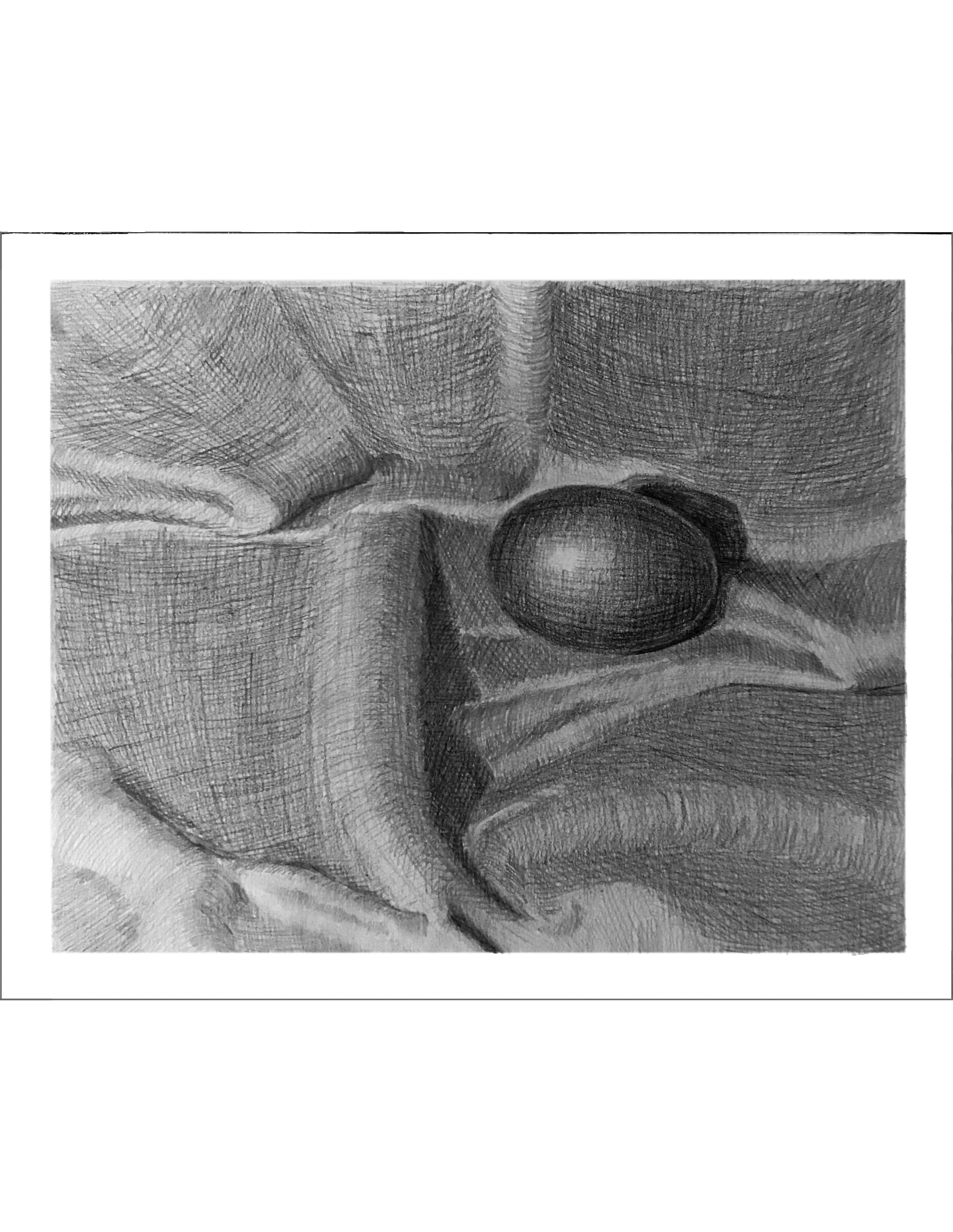 Black egg on drapery; pencil hatching