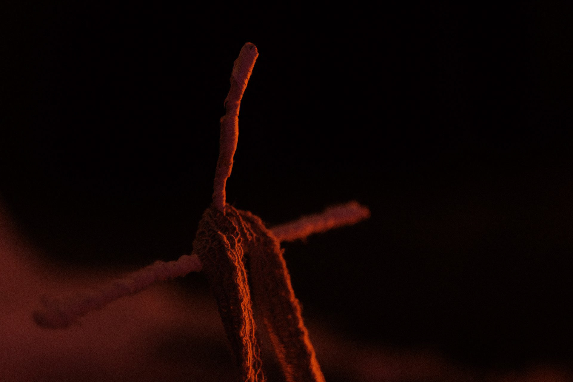 Photography By: Shale Talifero