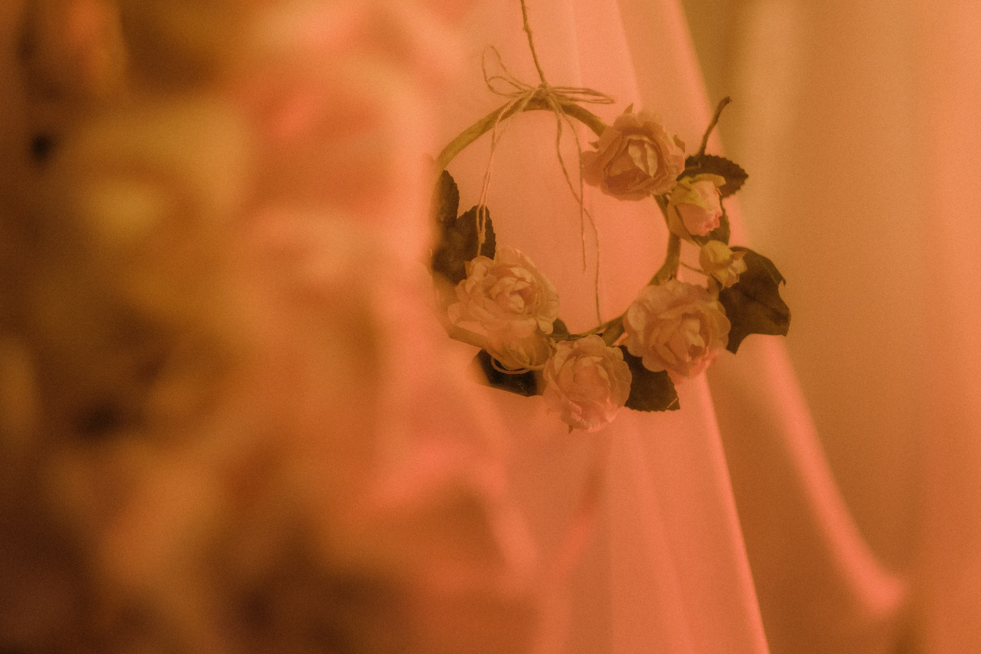 Photography By: Shale Talifero