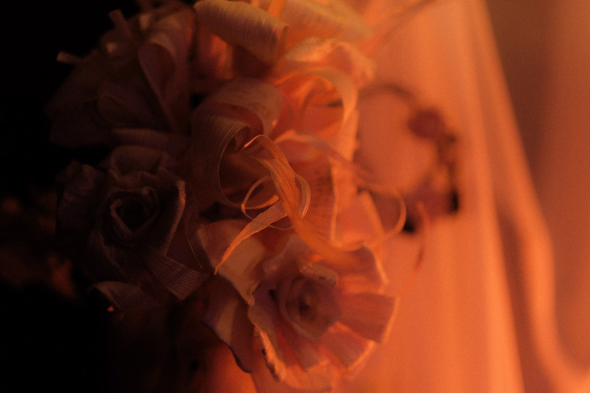 Photography By: Shale Talifero